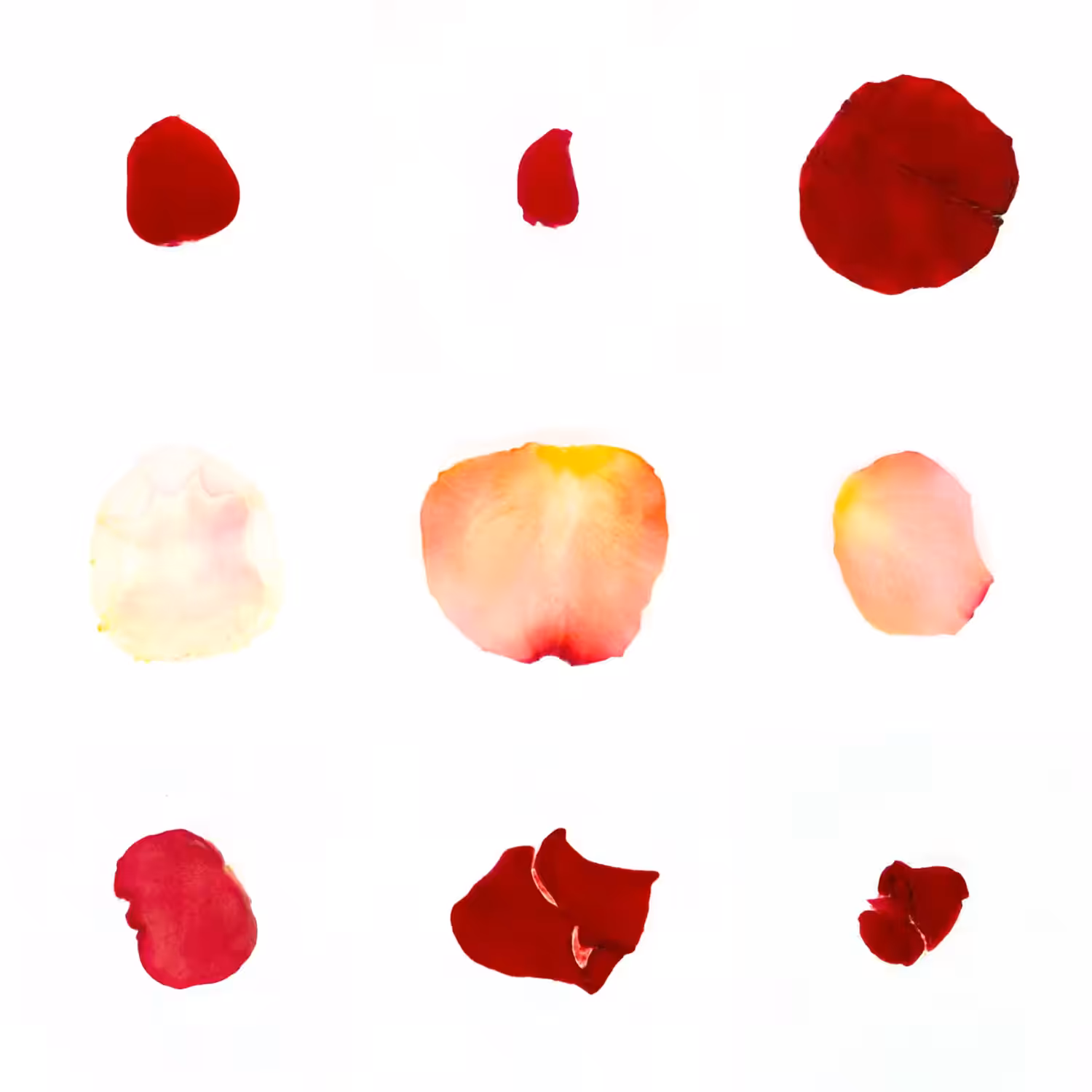 Infinite Petals 3x3#3187