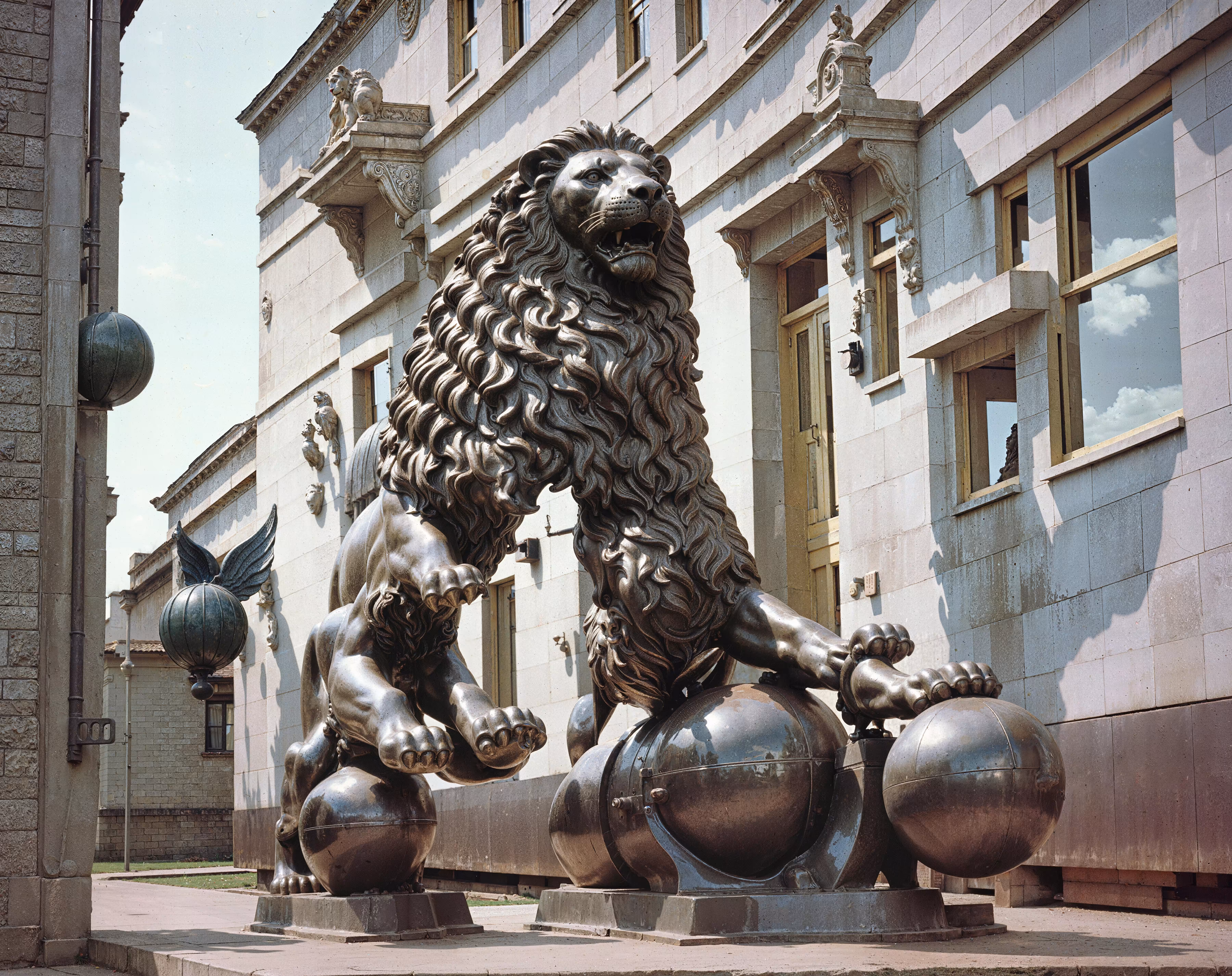 The Lion