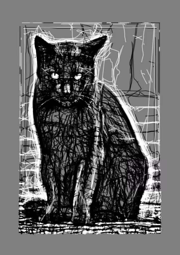Black cat