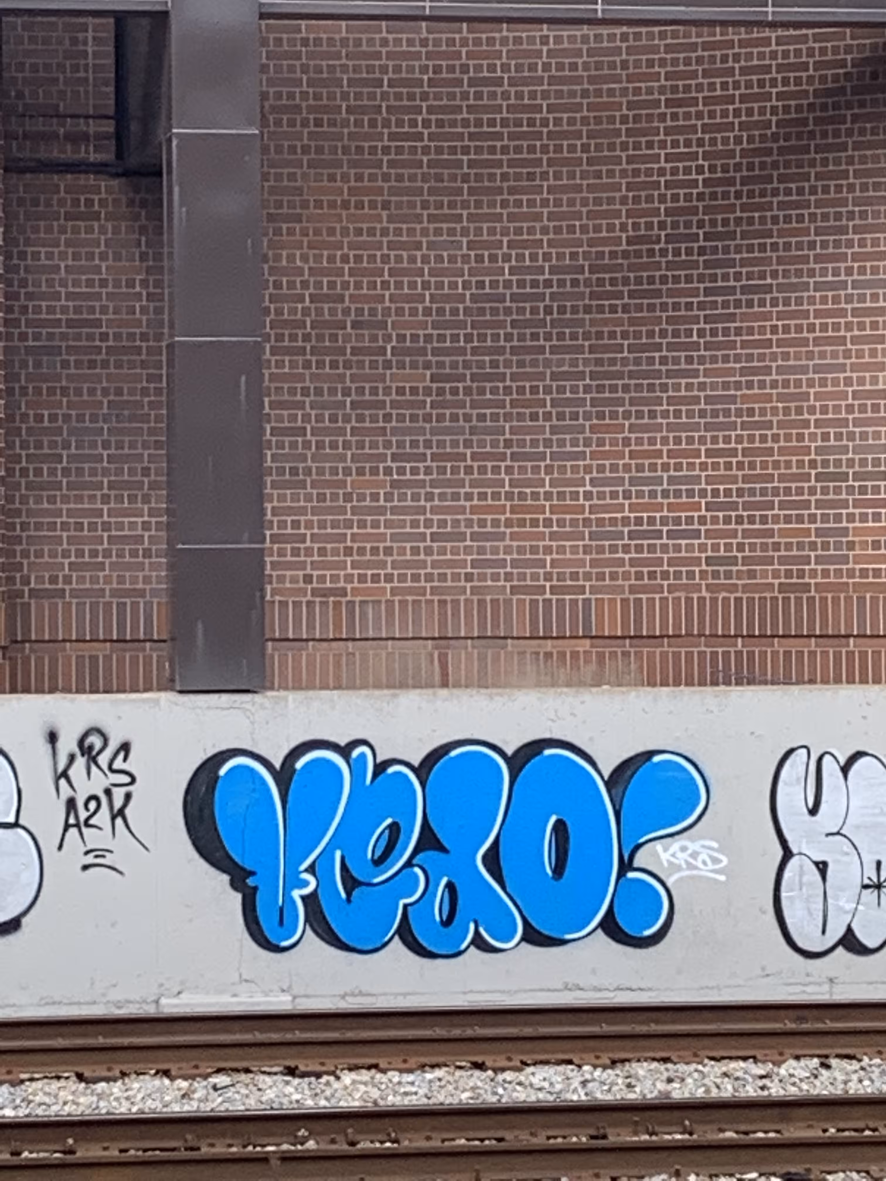 VEDO!