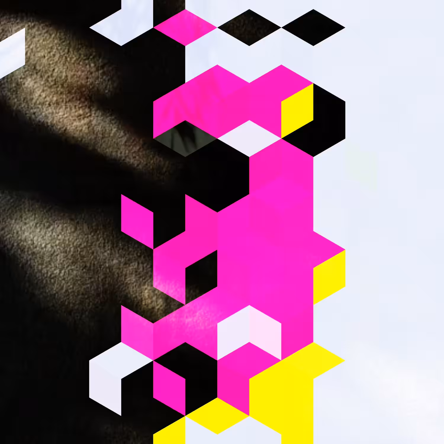 Cube Shadows