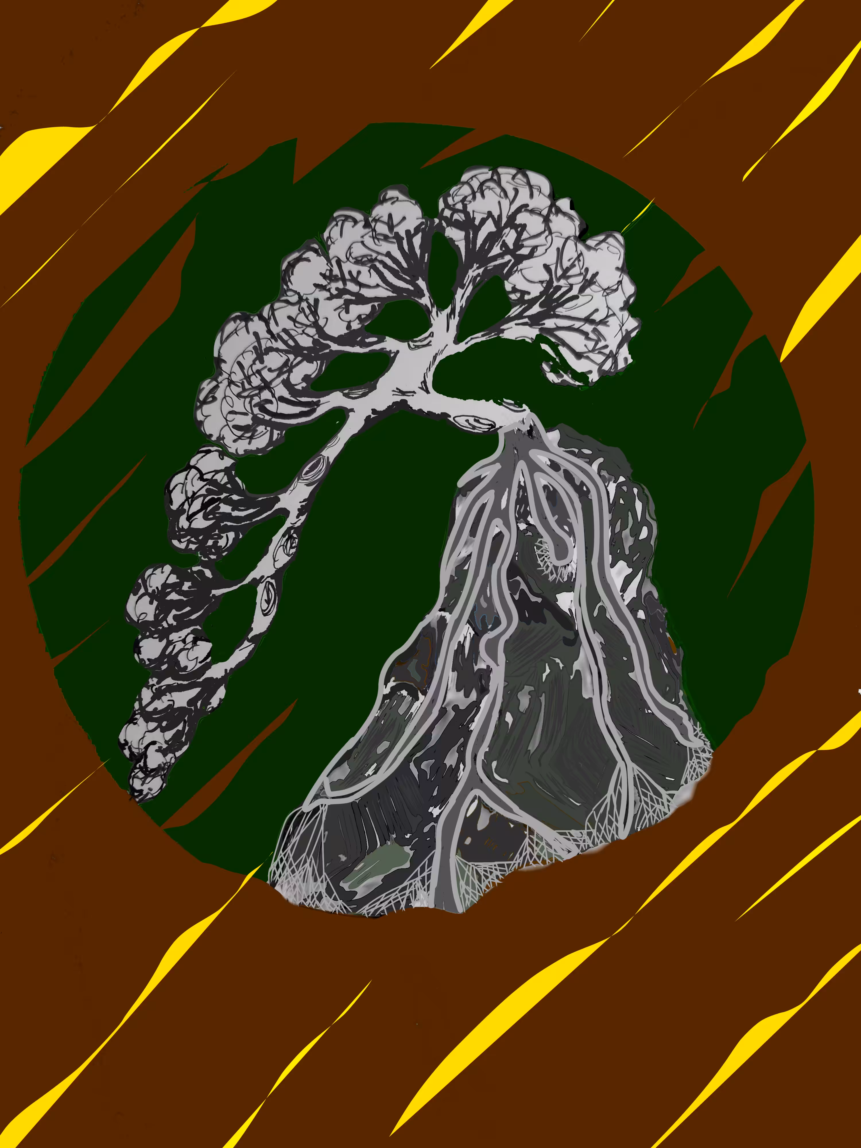 Root on the rock Cascade style bonsai