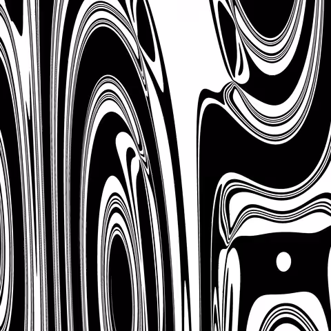 Curves in Motion