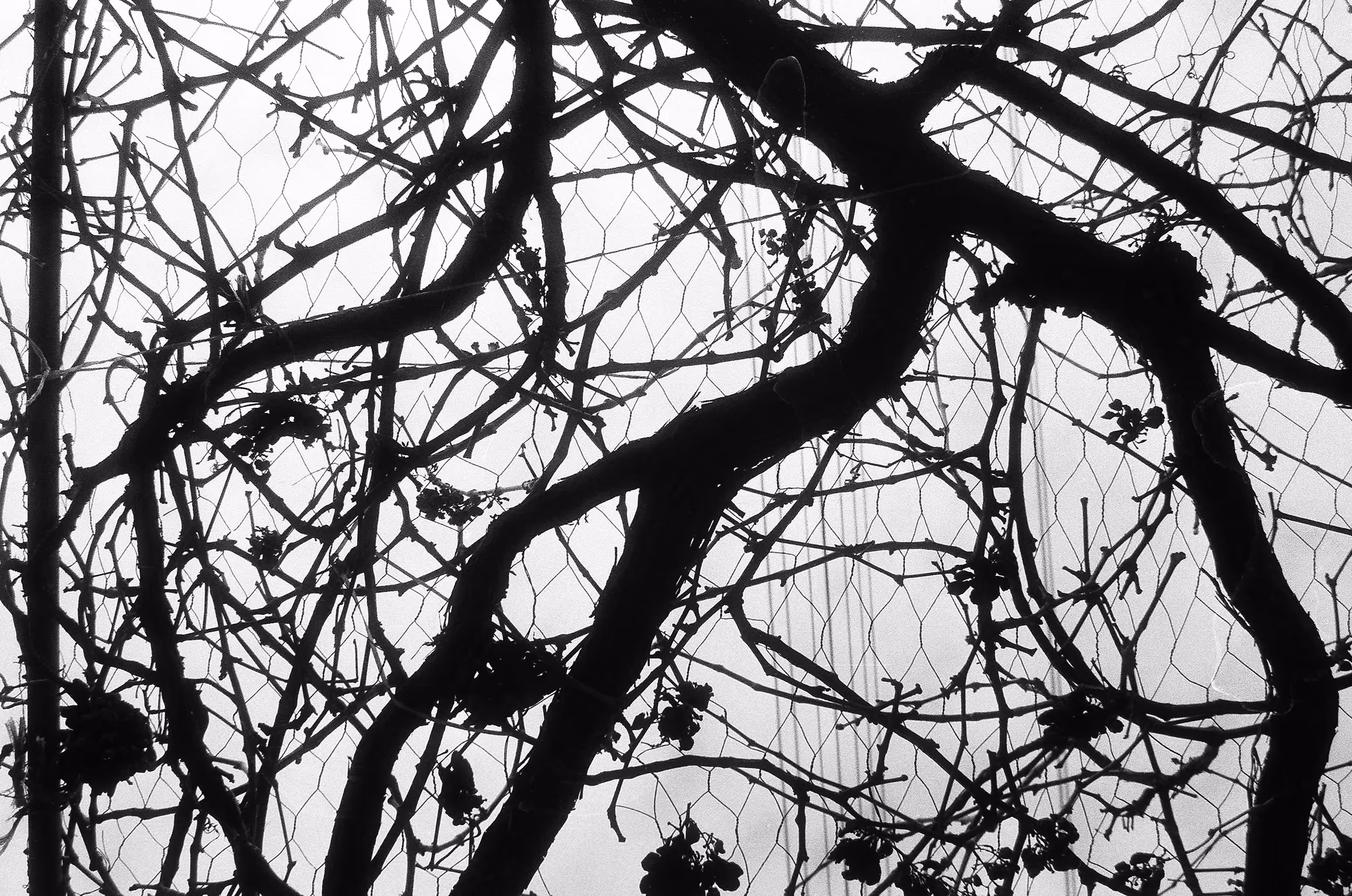 Darker With The Day