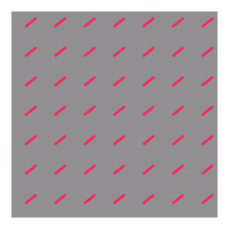 FLATWORLD #169