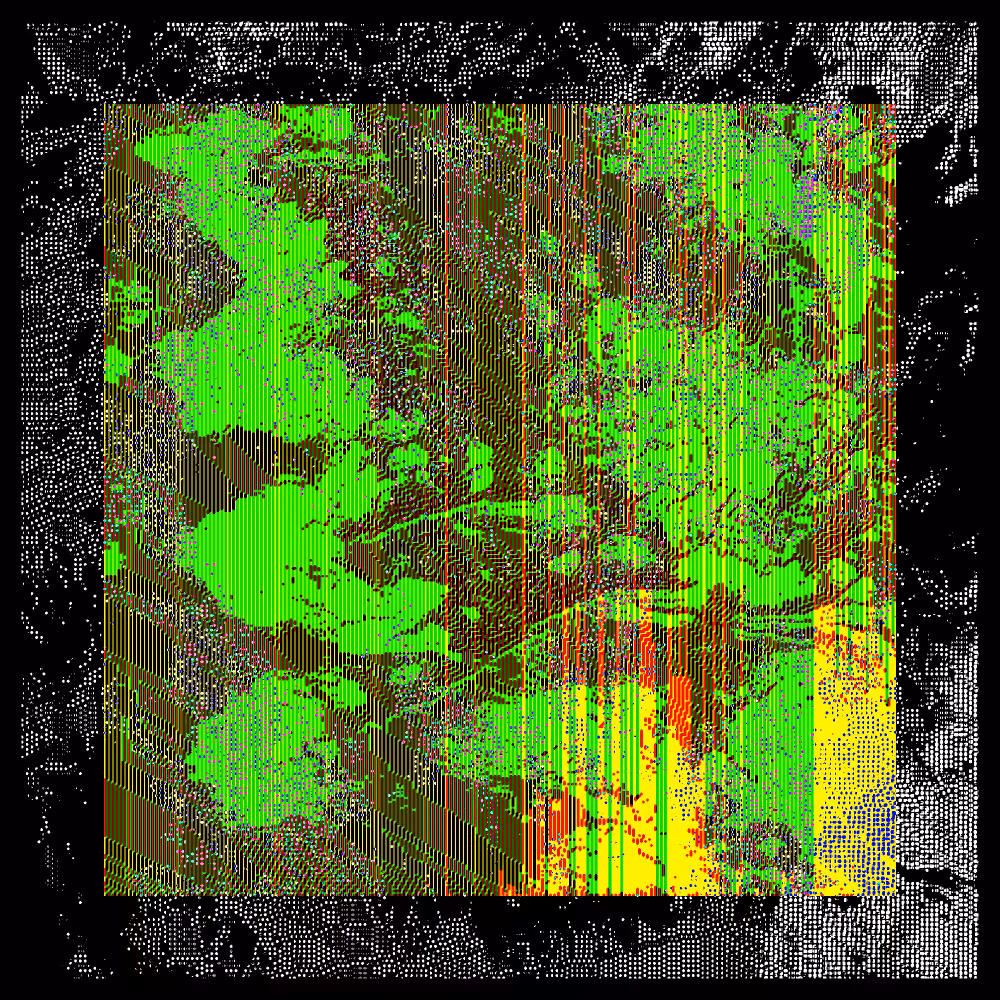 CHX-1 #79