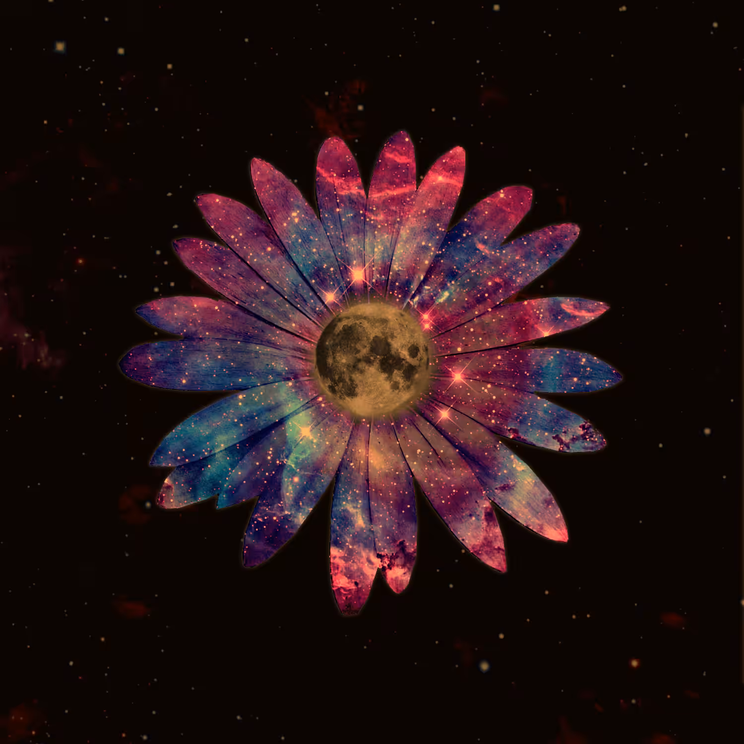 Space Daisy