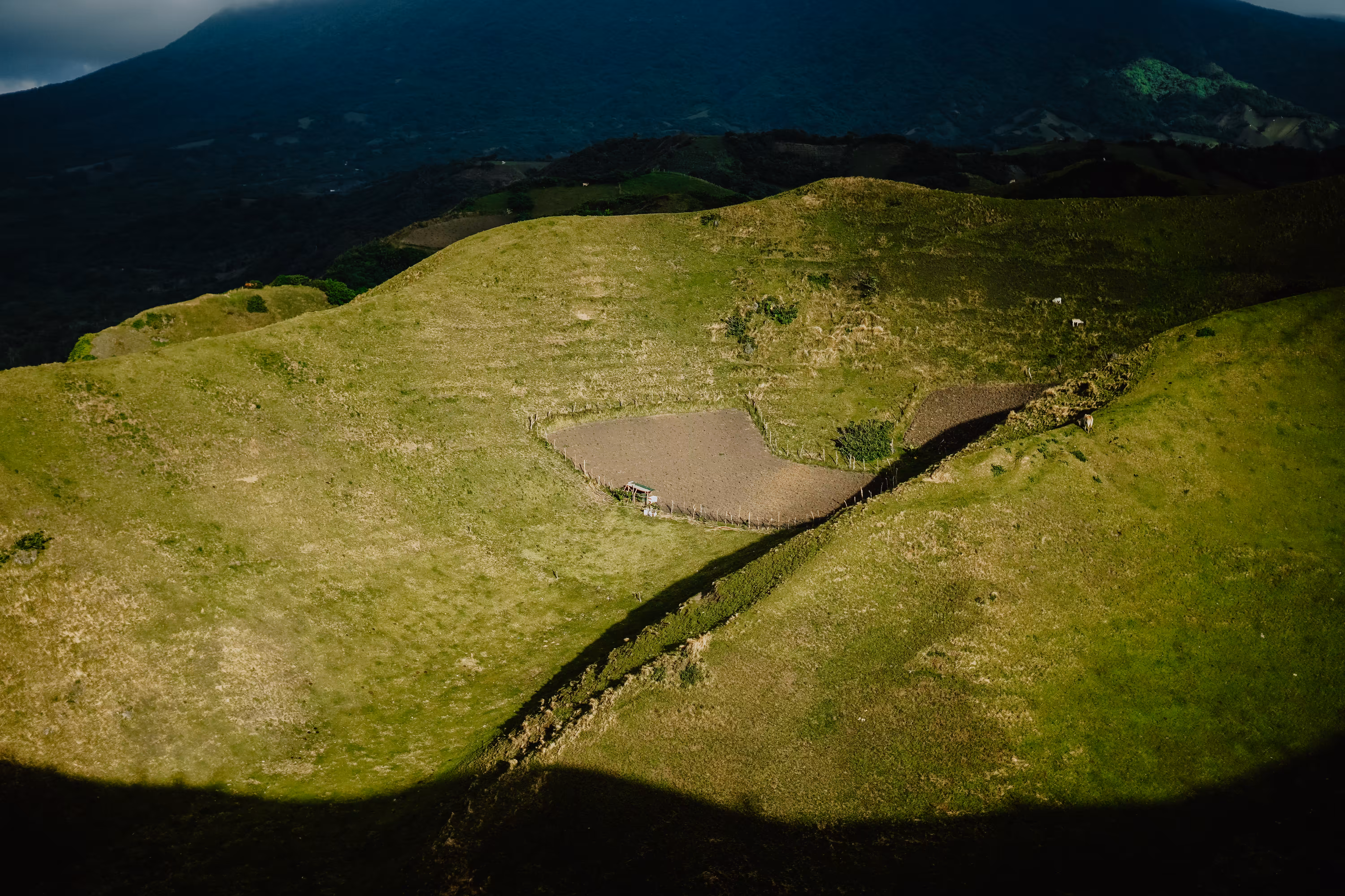 Hills Have Shades