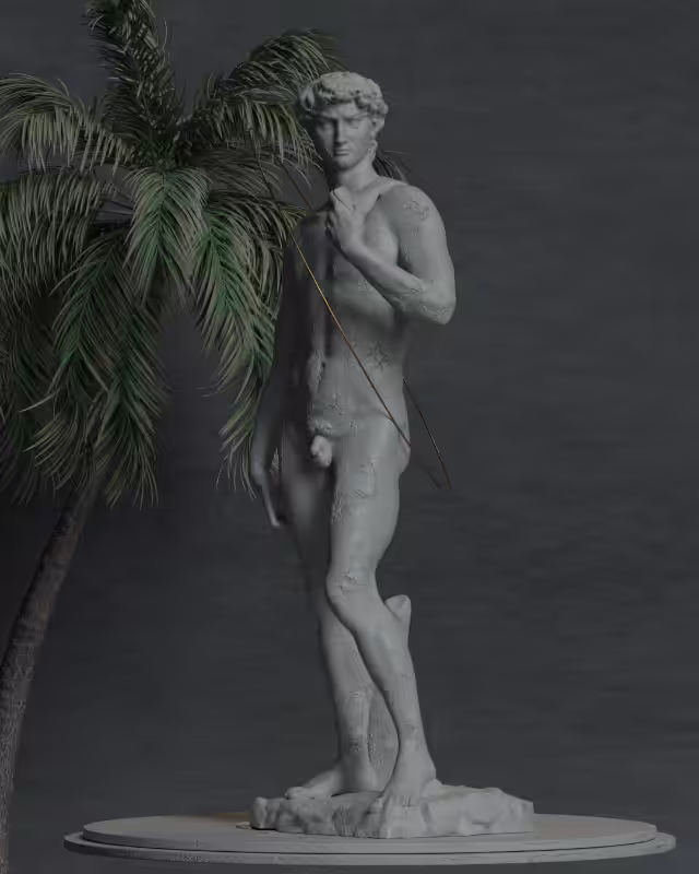 David #5