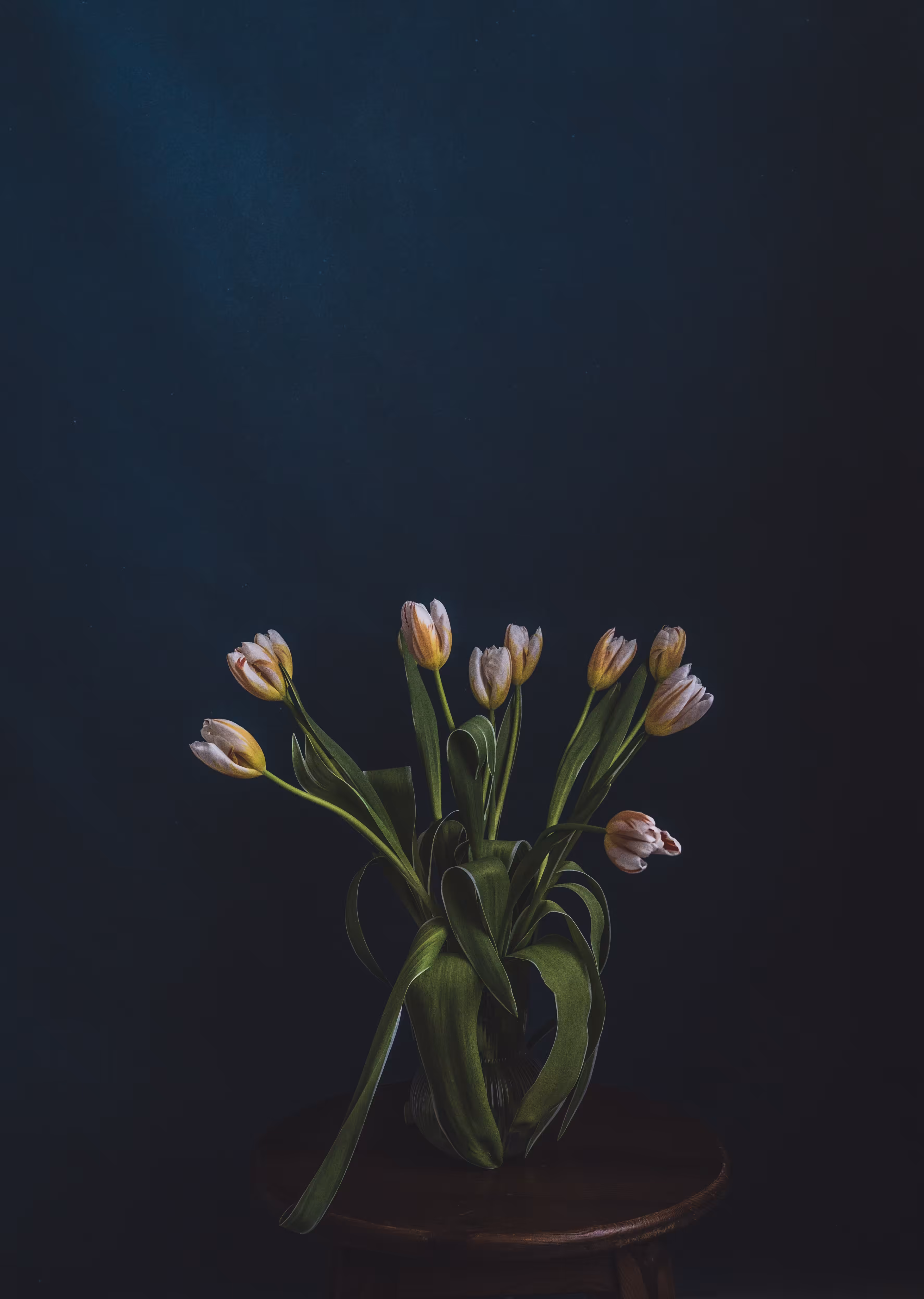 Soul of the flower #3