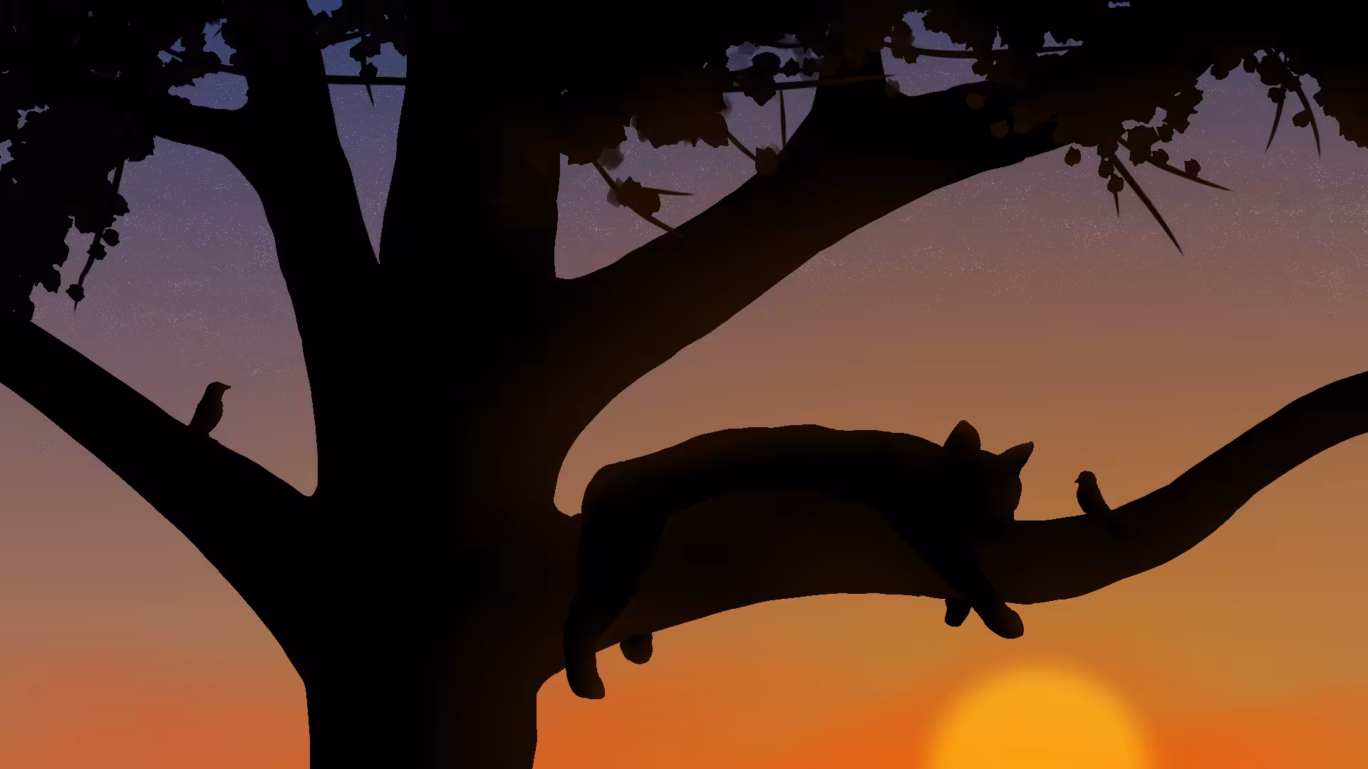 Art Of Abolfazl : CAT And Sunrise 