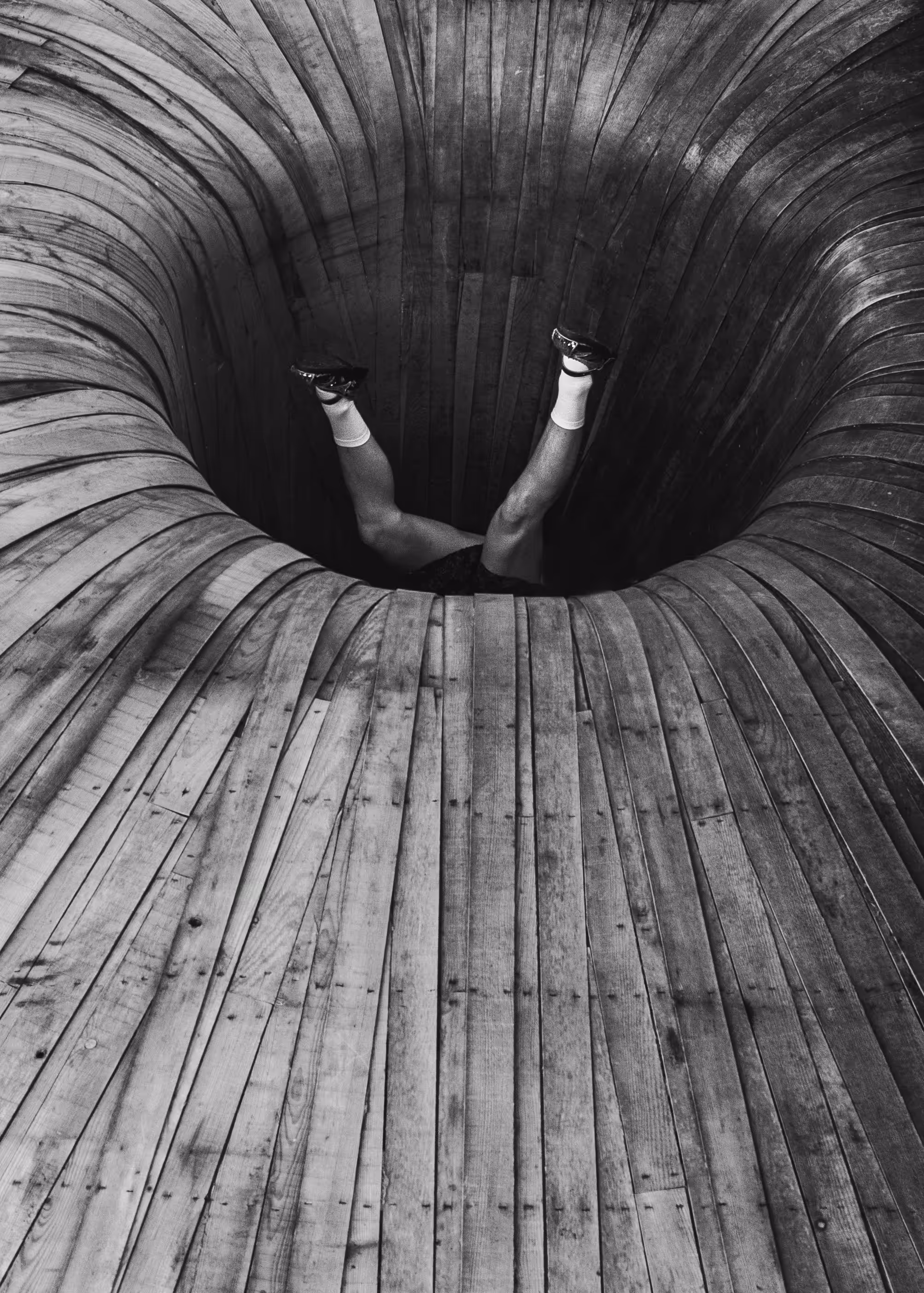 Down The Rabbit Hole