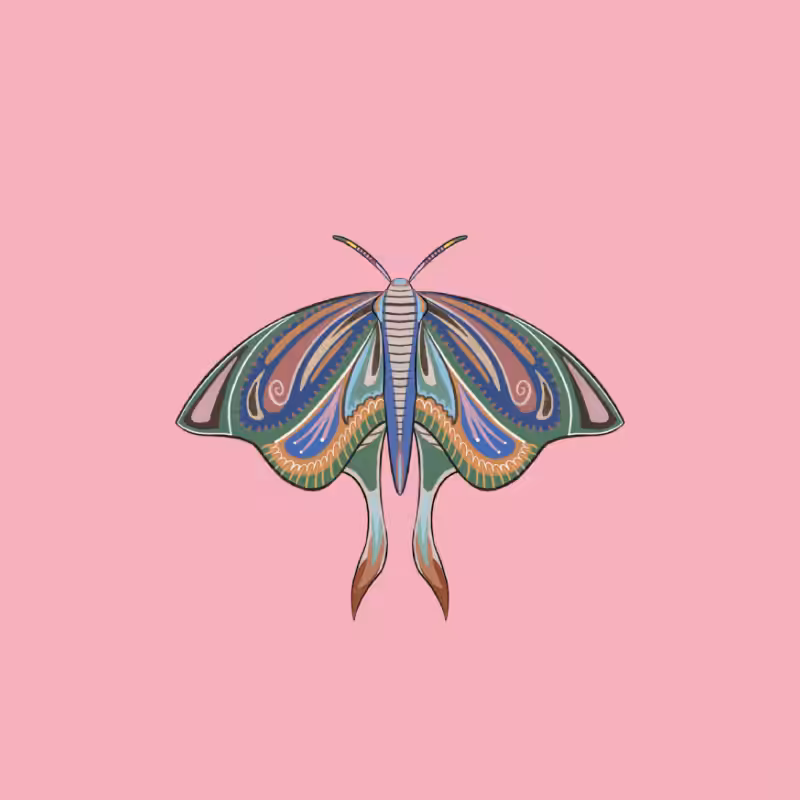 The Moth Experiment 2.0 P1 #36
