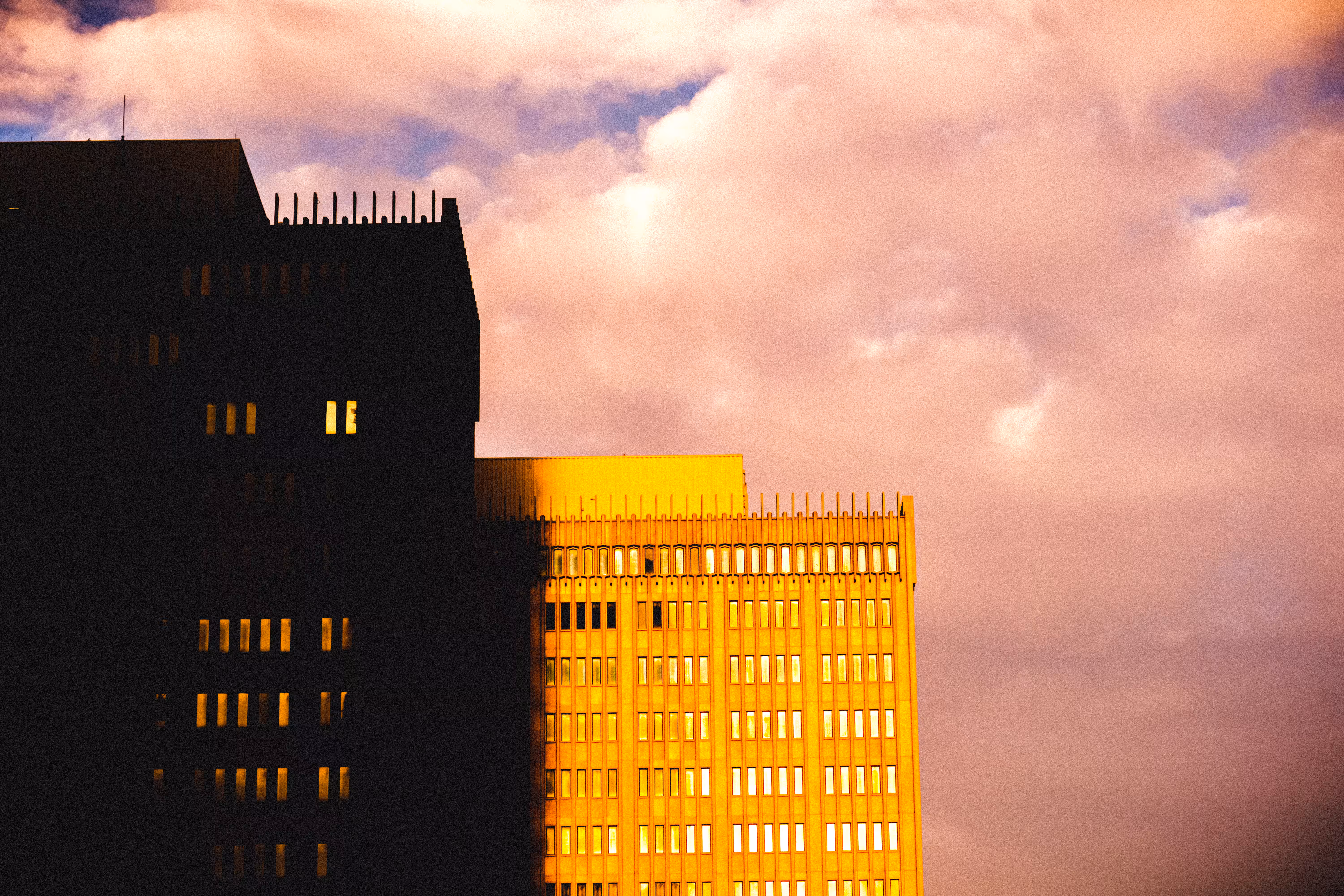 Daily Light