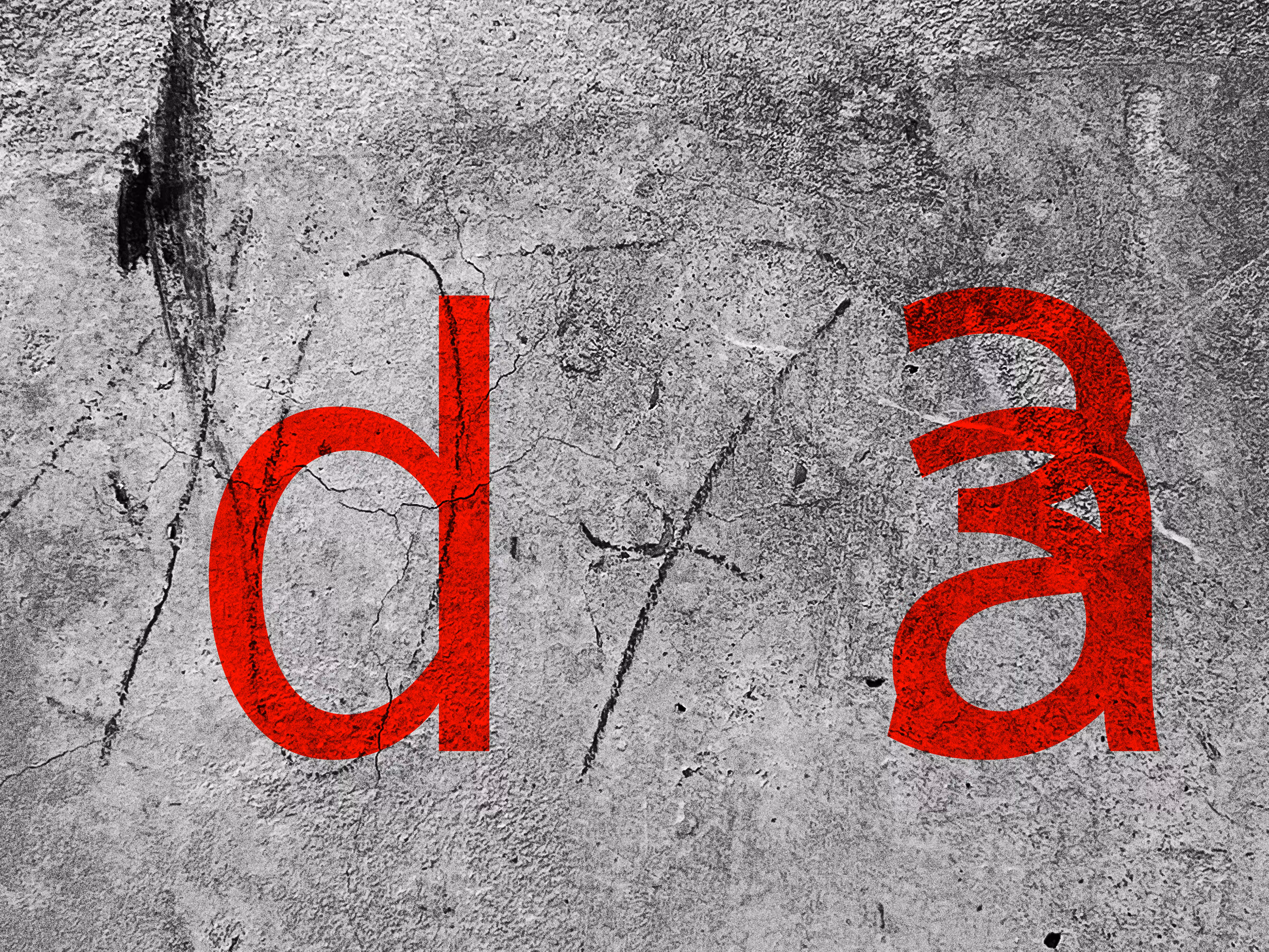 WALL