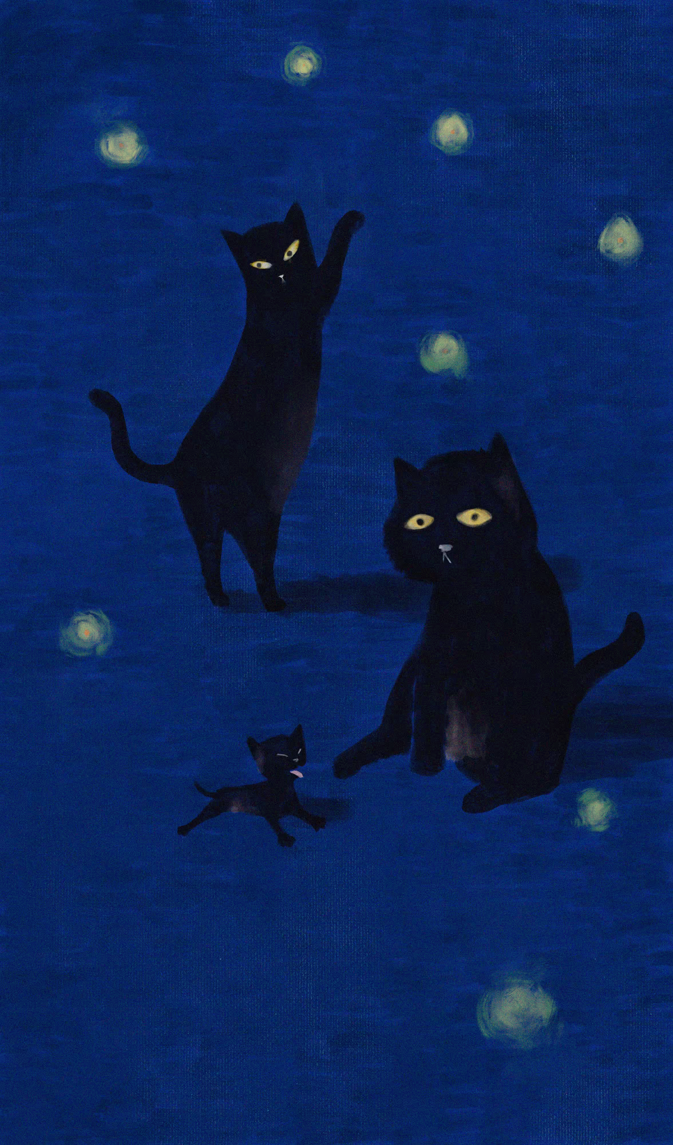 under the night sky