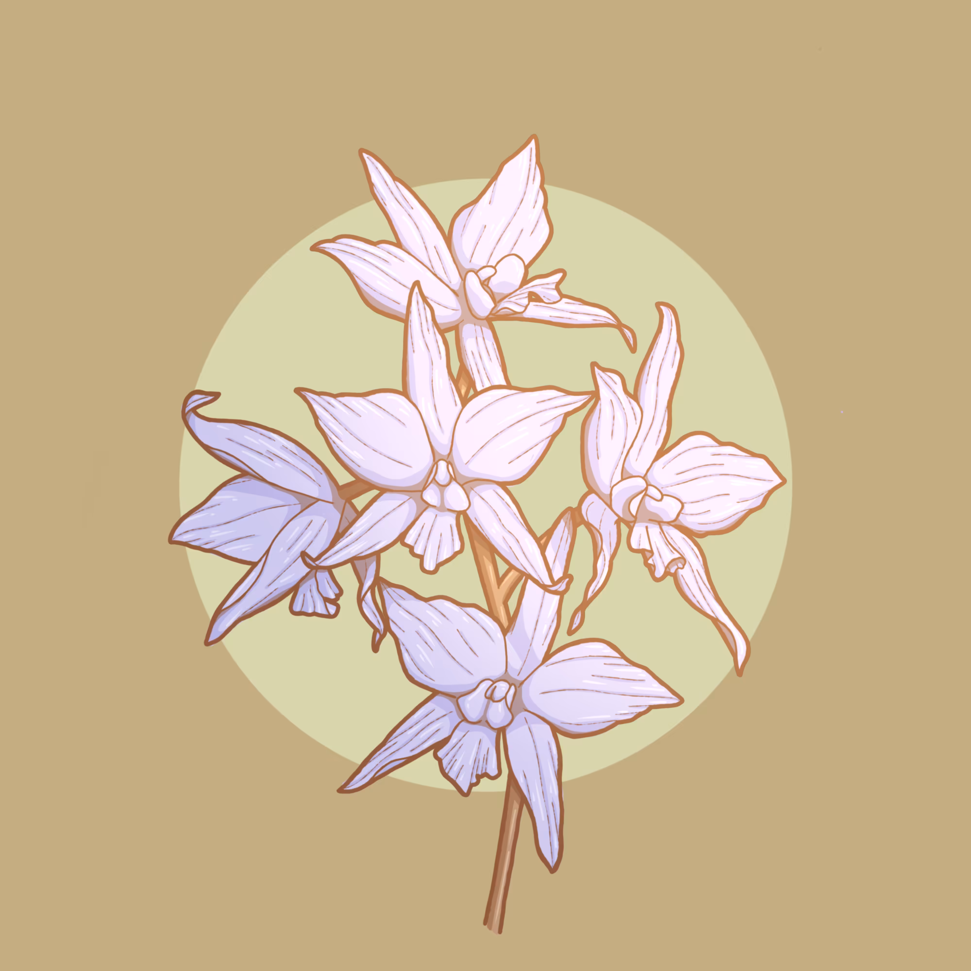 Orchid