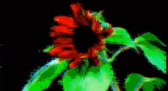 Glitch Bloom