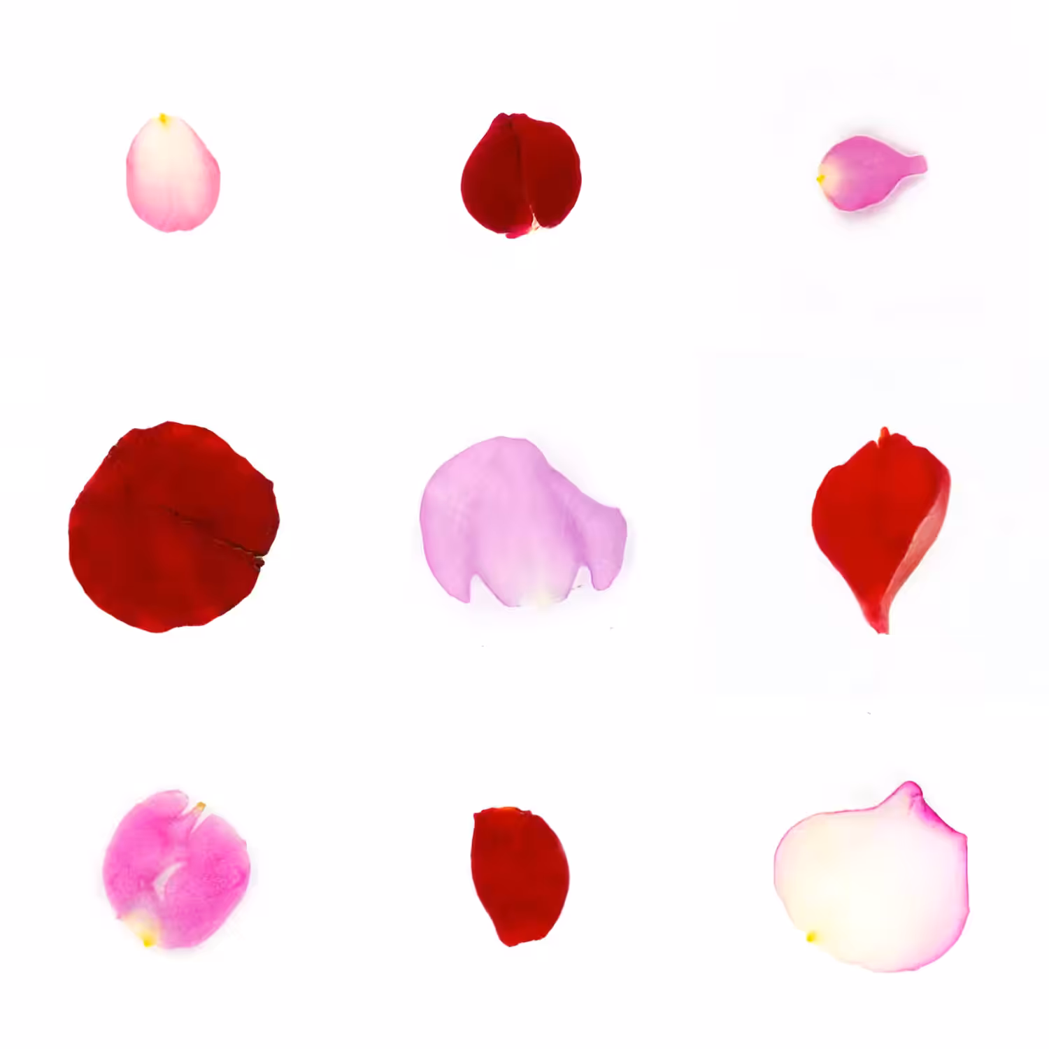 Infinite Petals 3x3#3600