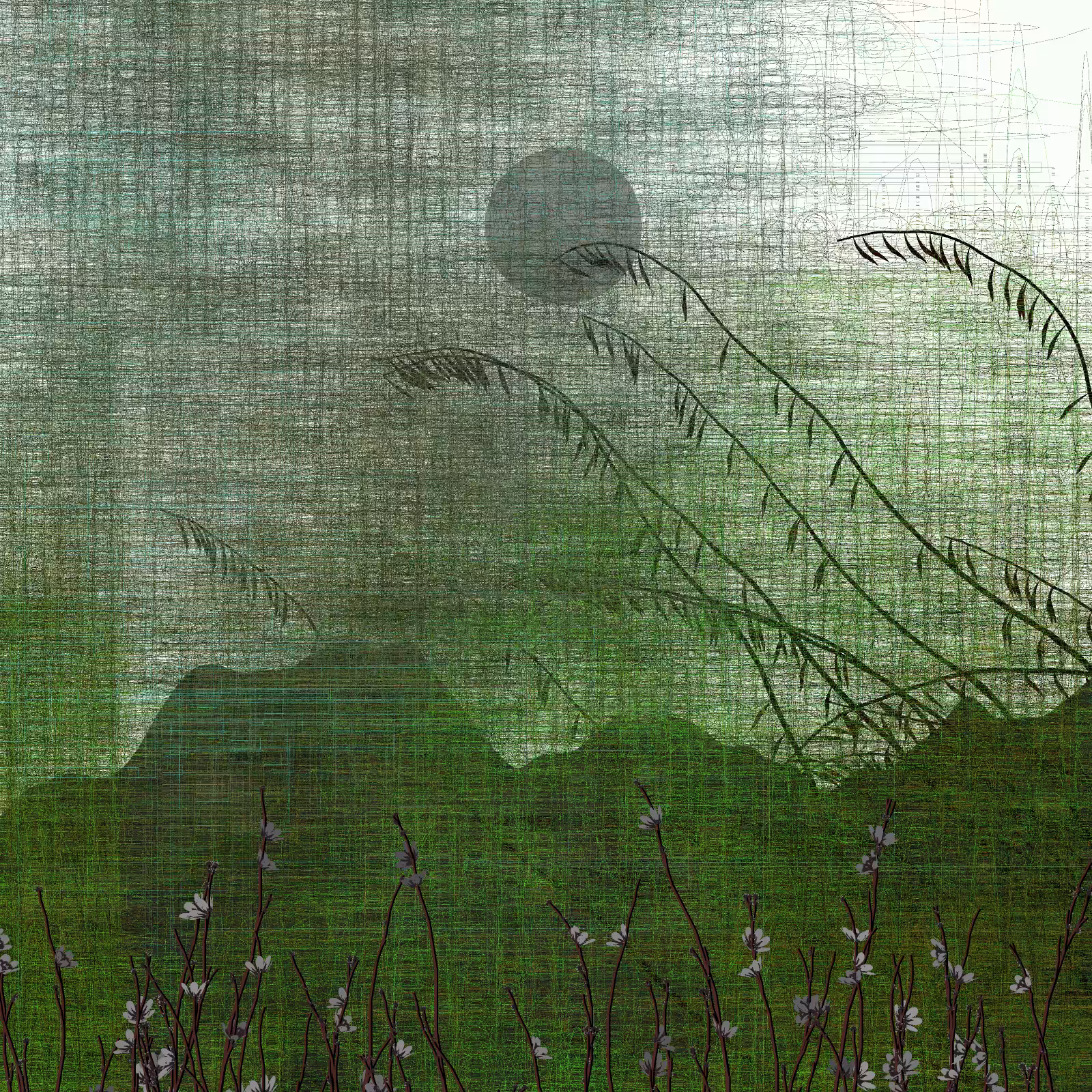 Echoes #41