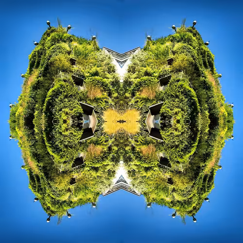 Future Land: 088