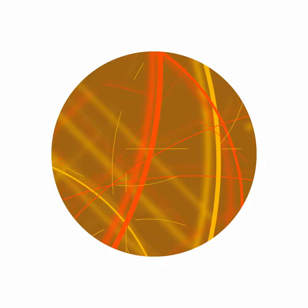 Physical Culture Utility Token 01 #6