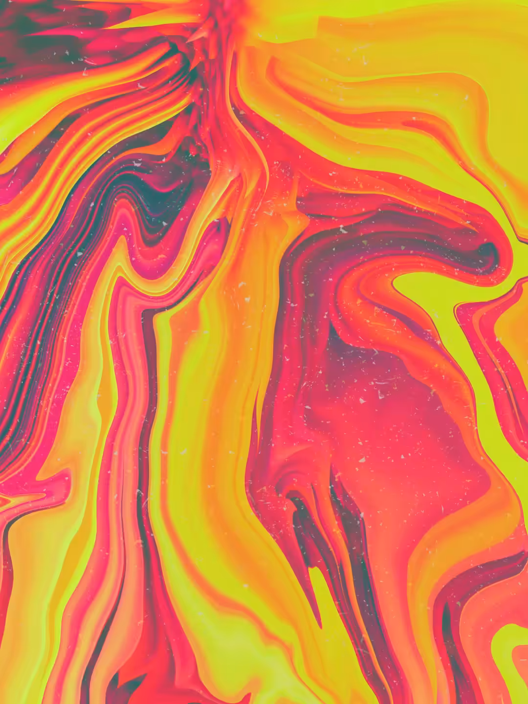 Lemon Cerise