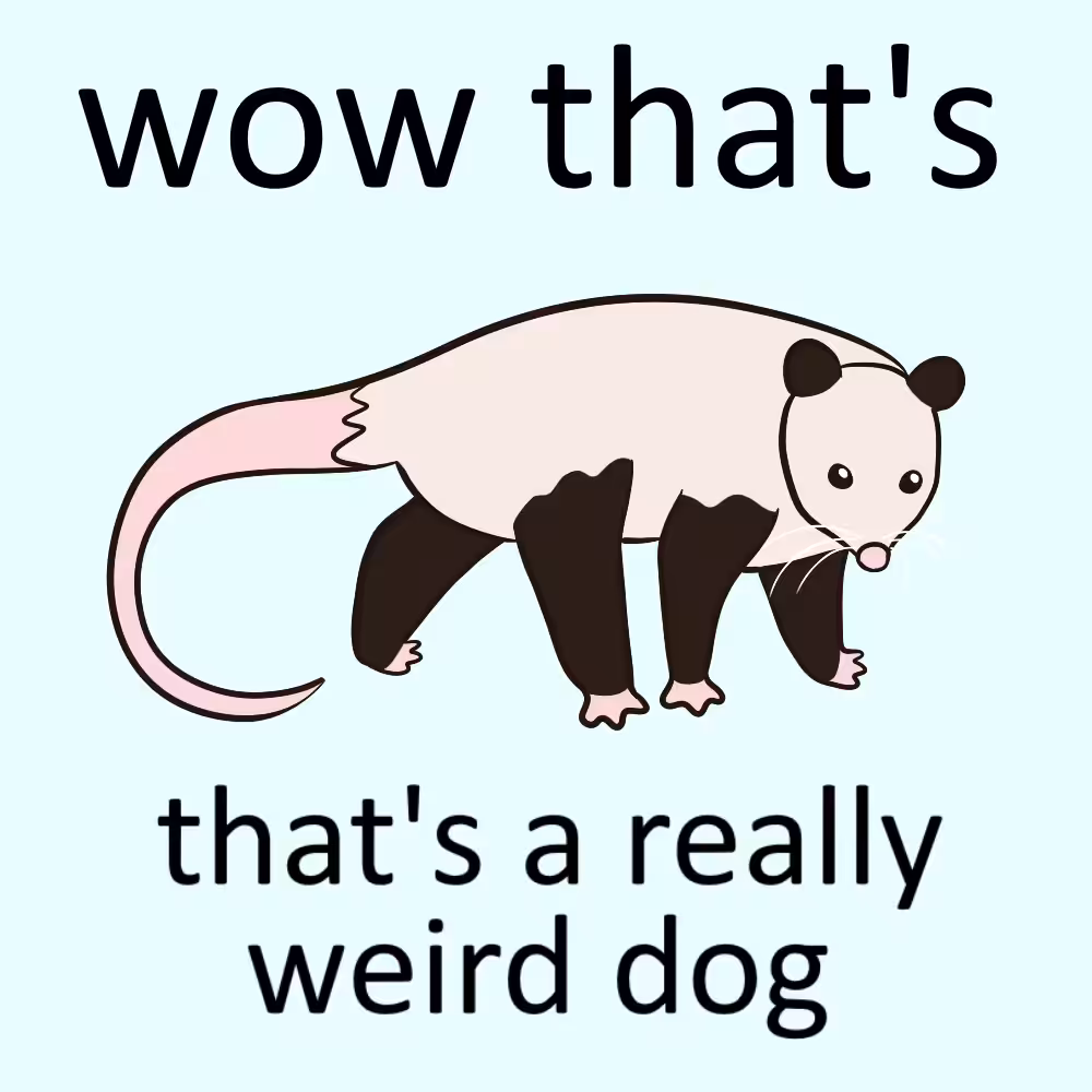 wow that's a really weird dog