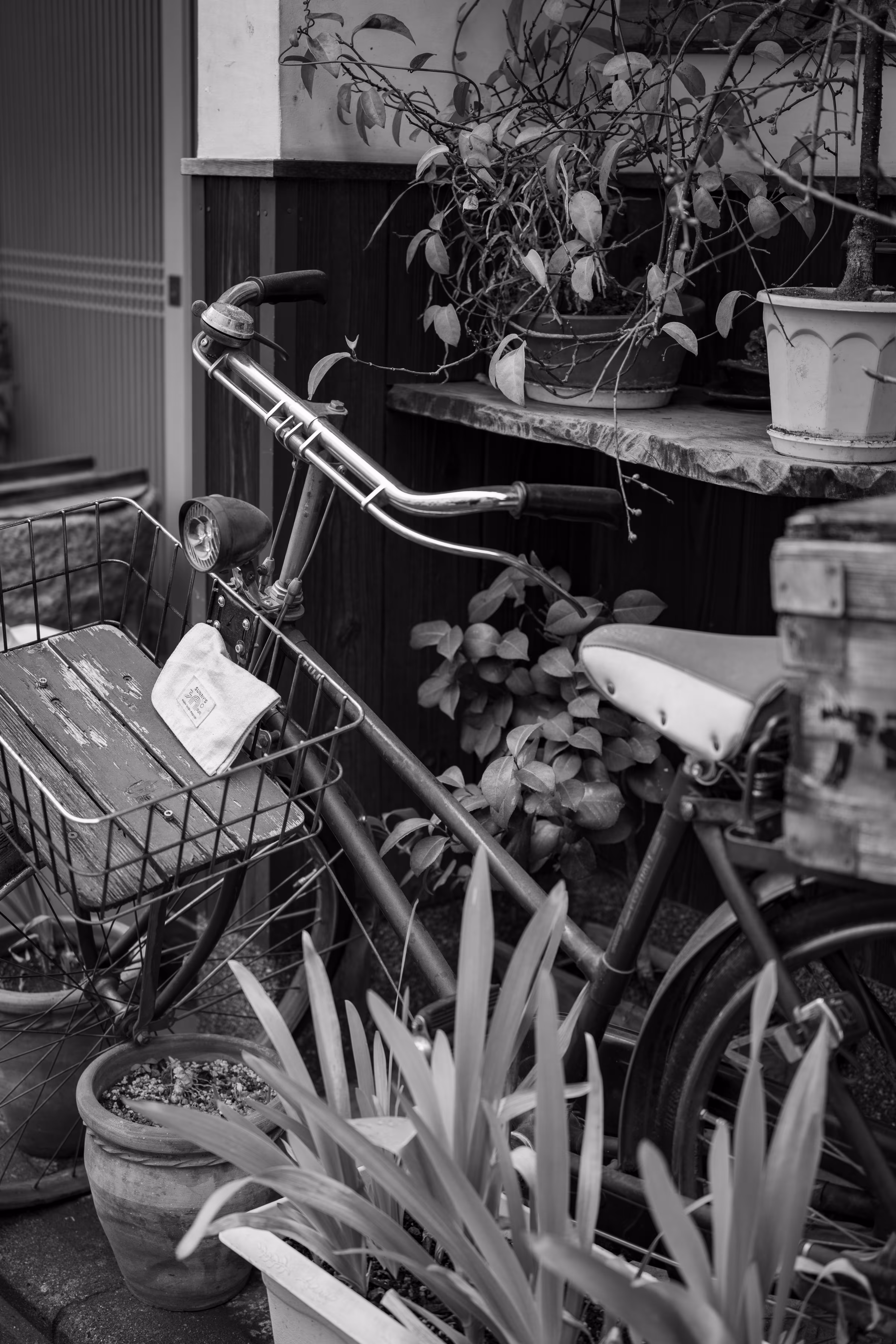 Garden Bicycle