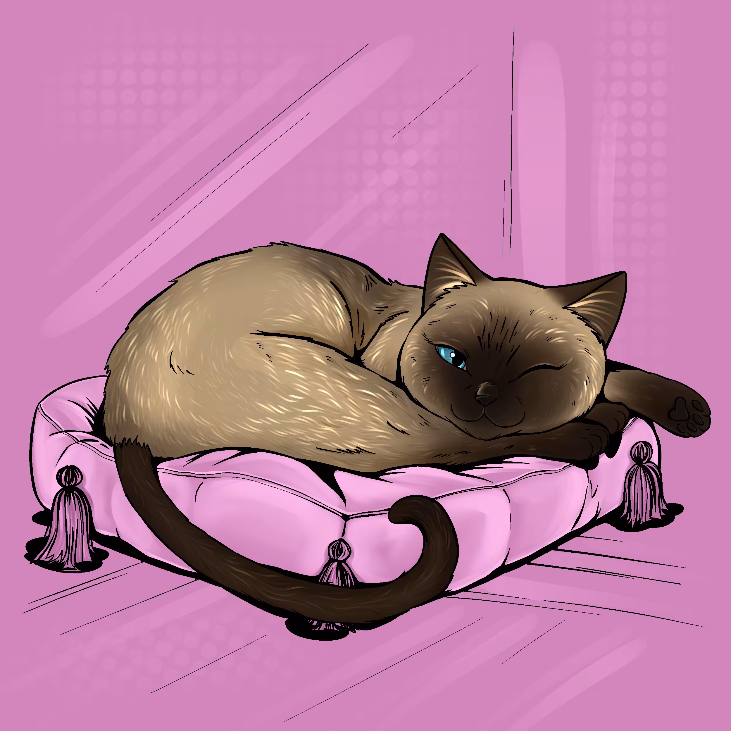Something special about one cat: Dream about you