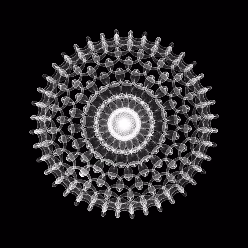 Many worlds #208