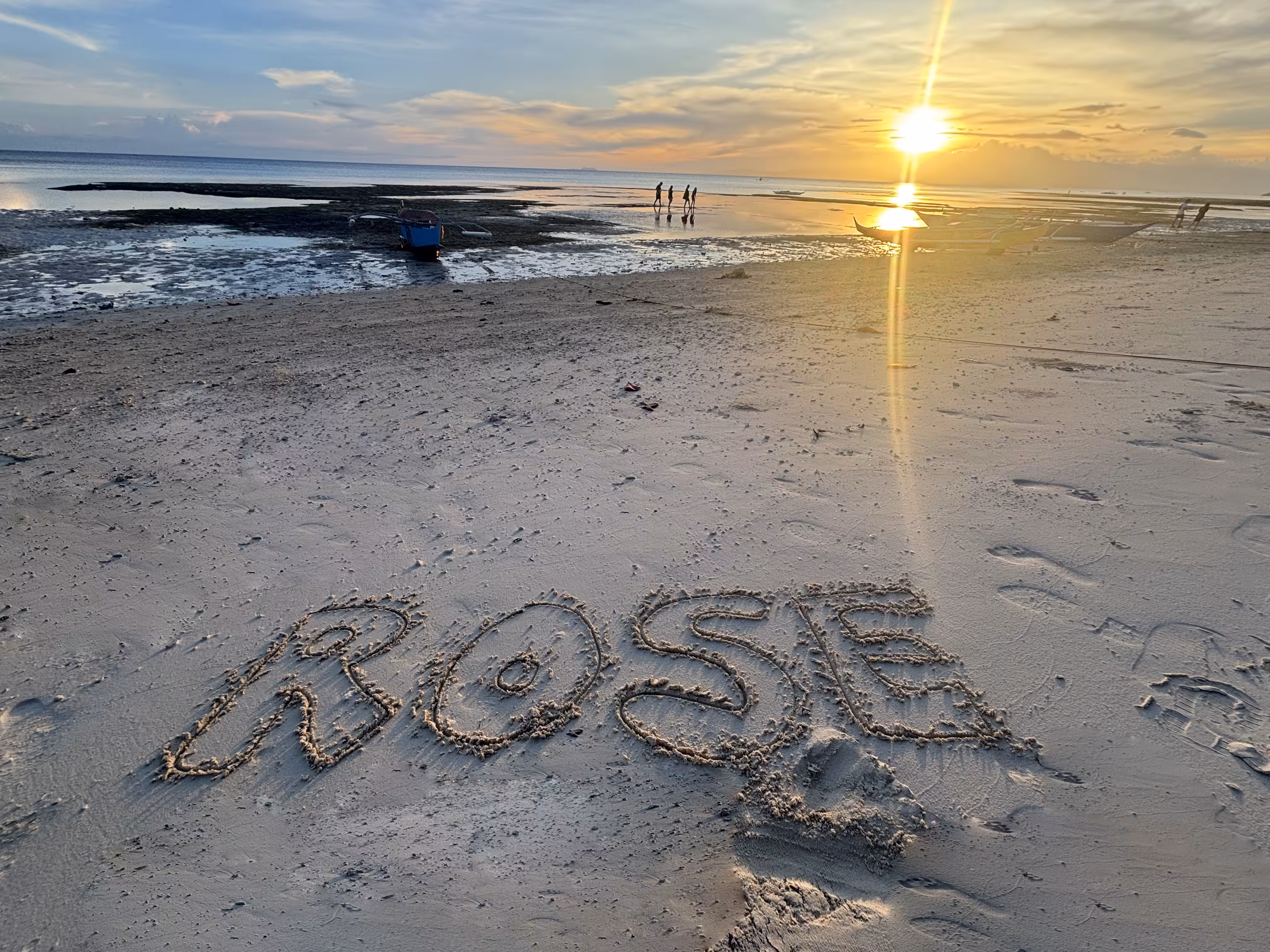 Rose