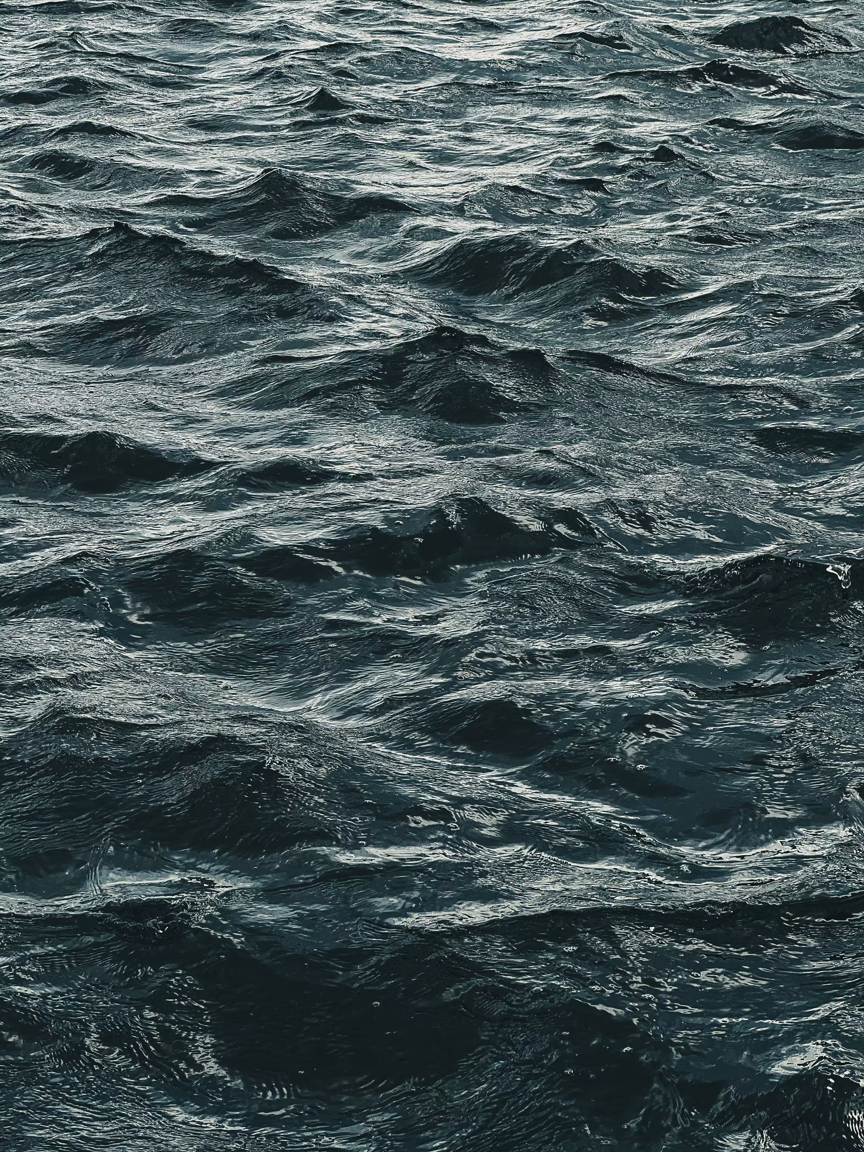 Wave 