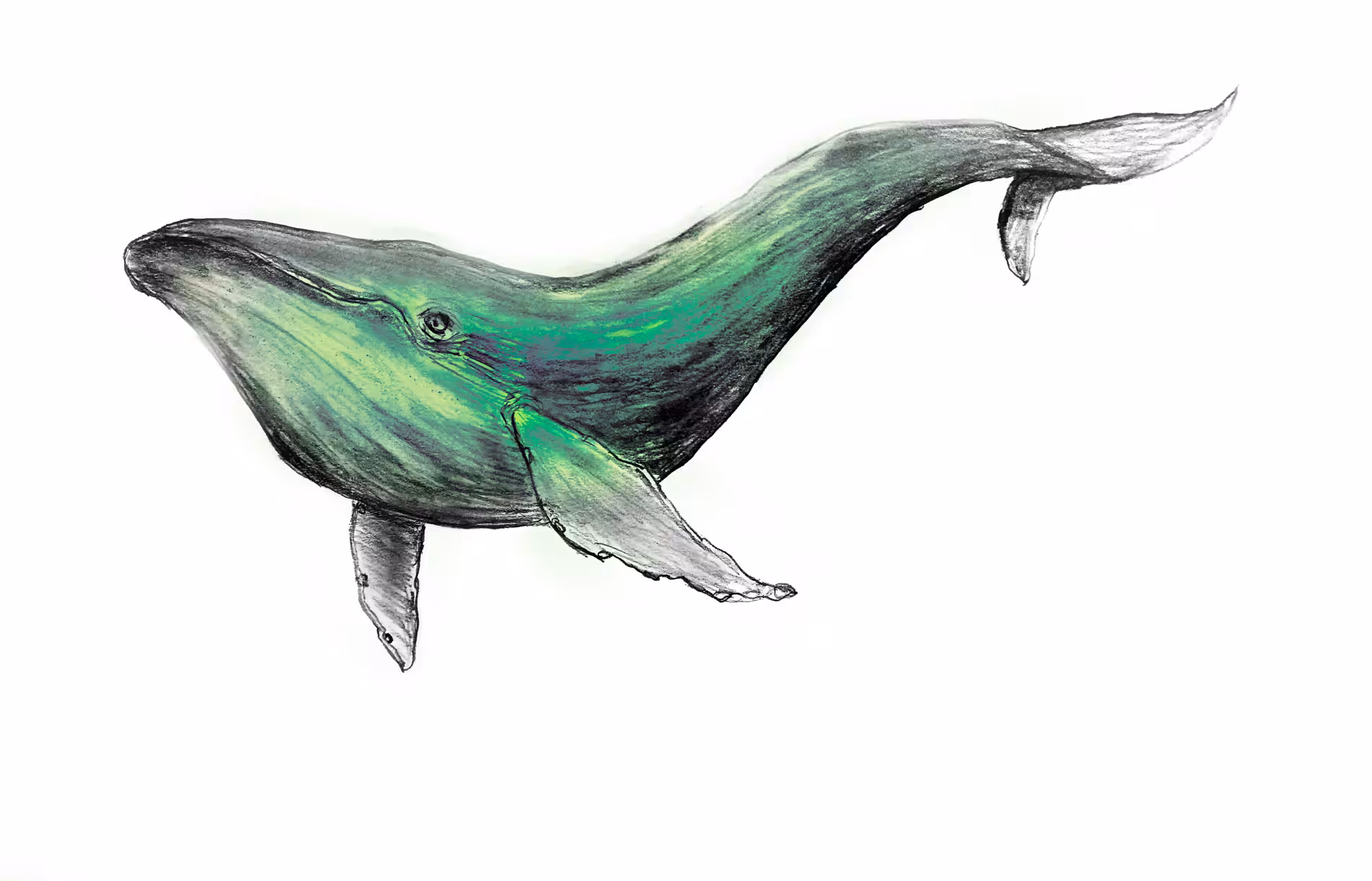 The Green Whale