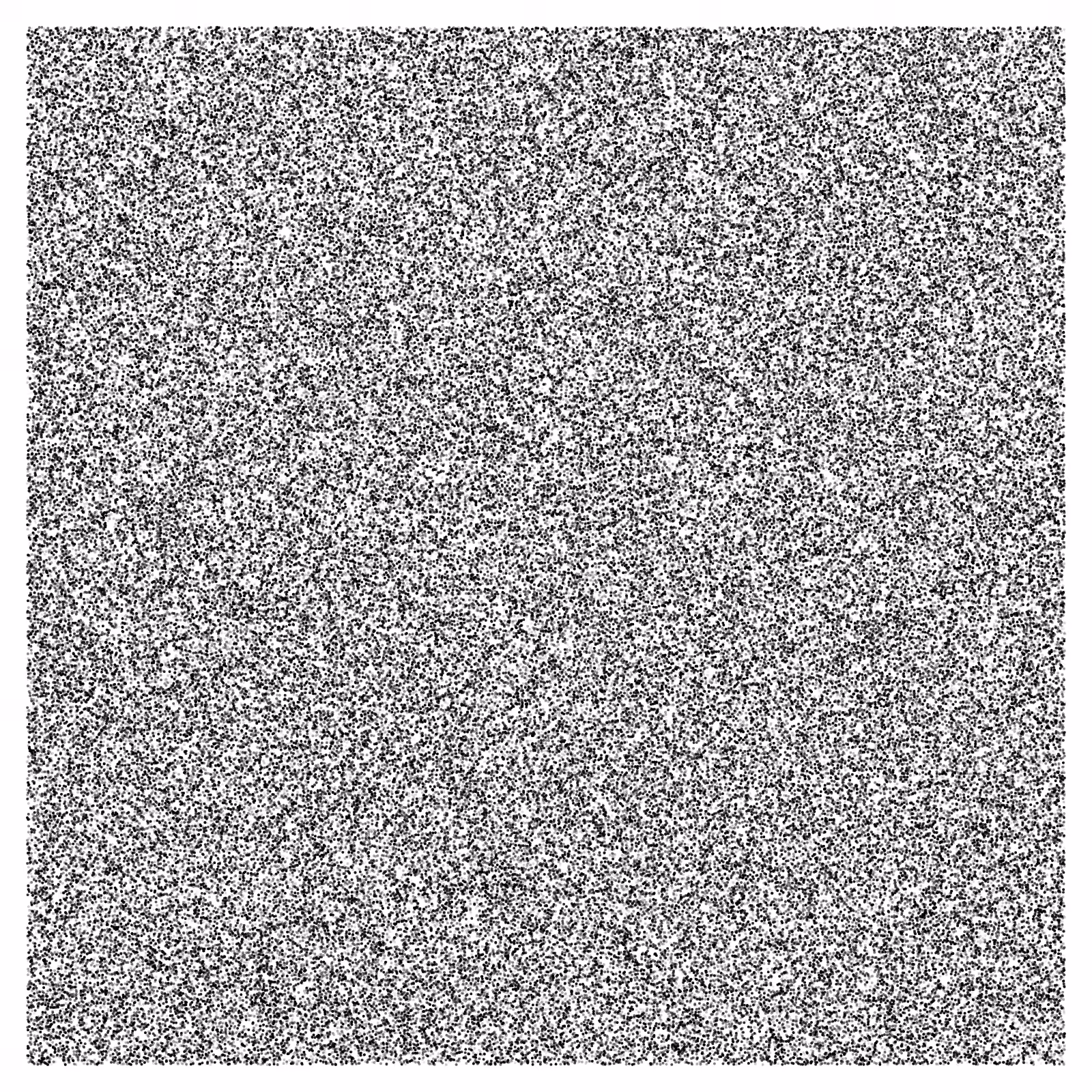 Noise #51