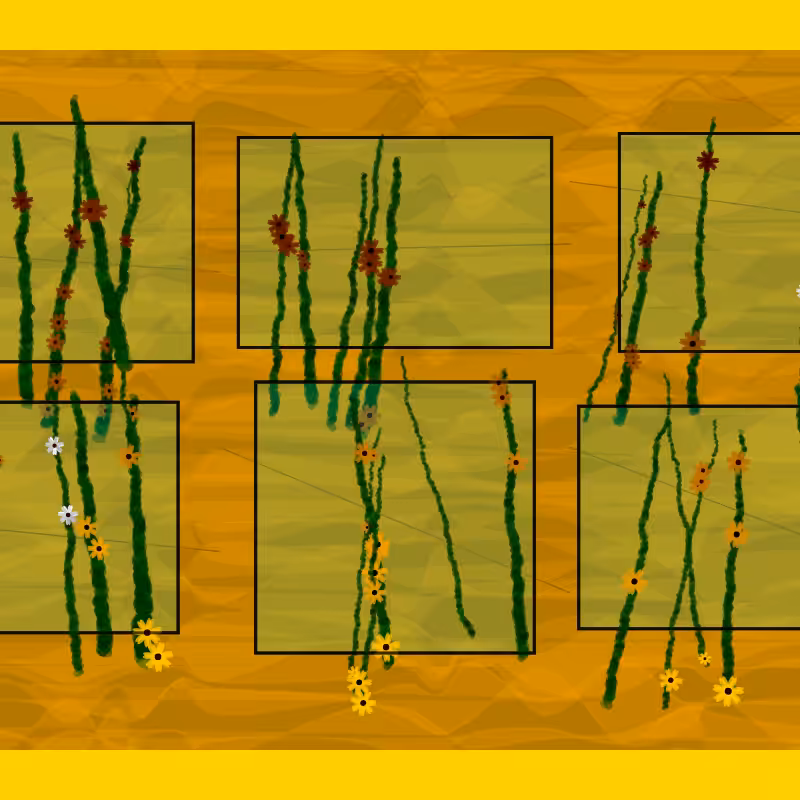 Flower Boxes #2