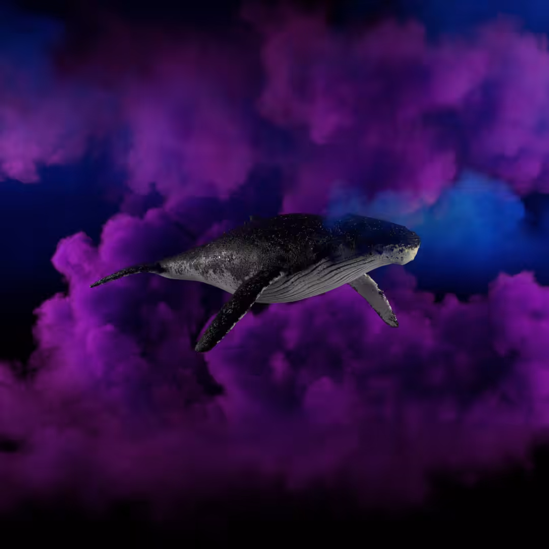 Whale