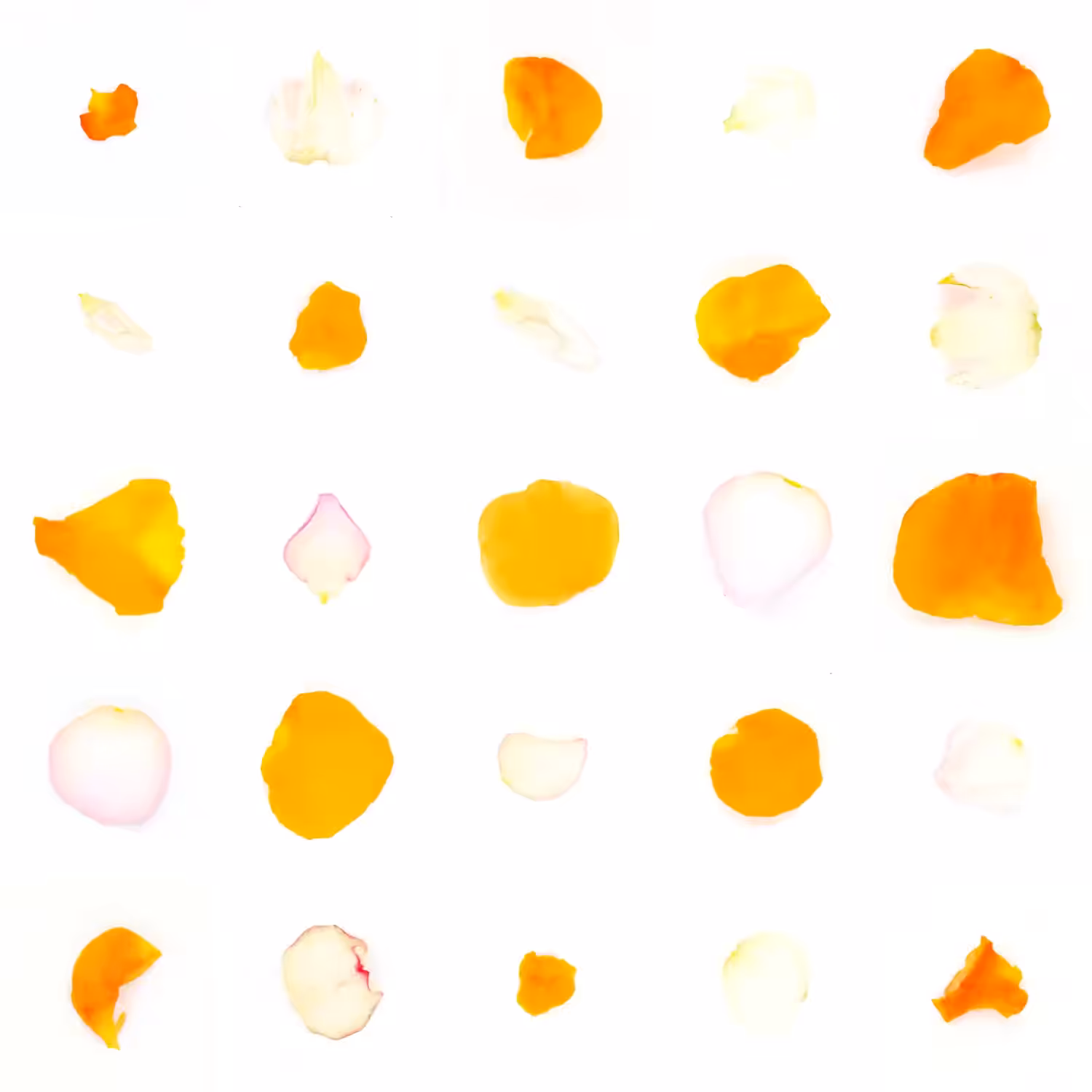 Infinite Petals 5x5#2281