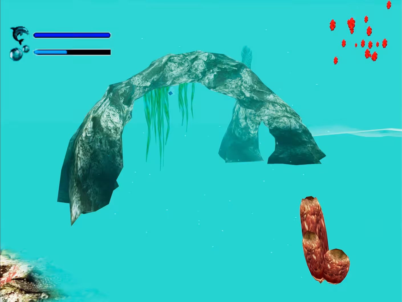 [ Empty Reef ]