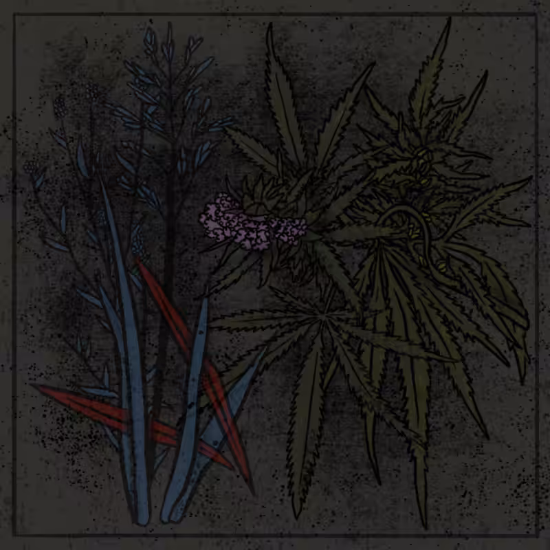 Bouquet #86