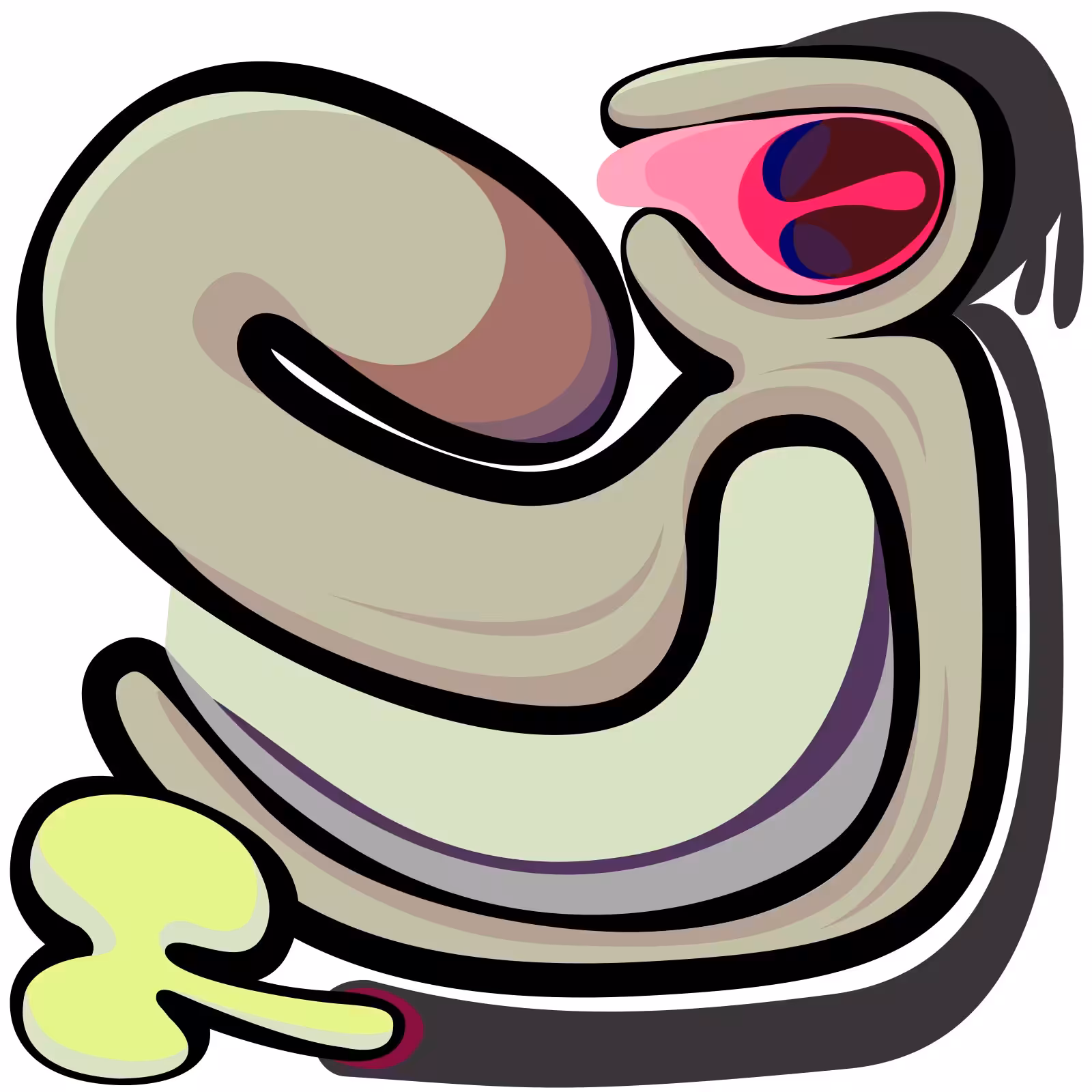 Eggplant