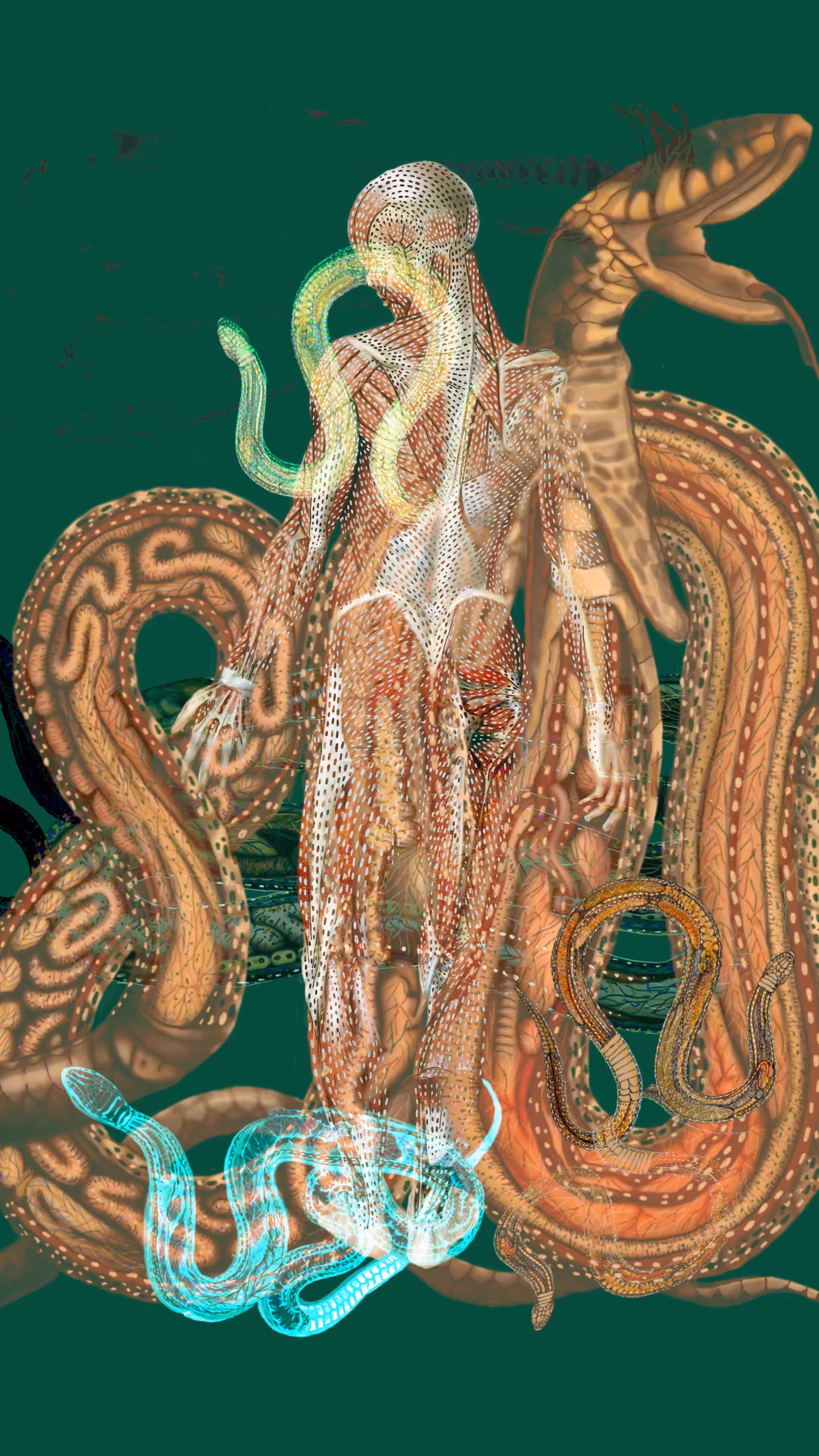 Humanimal Anatomy (snakes) #0