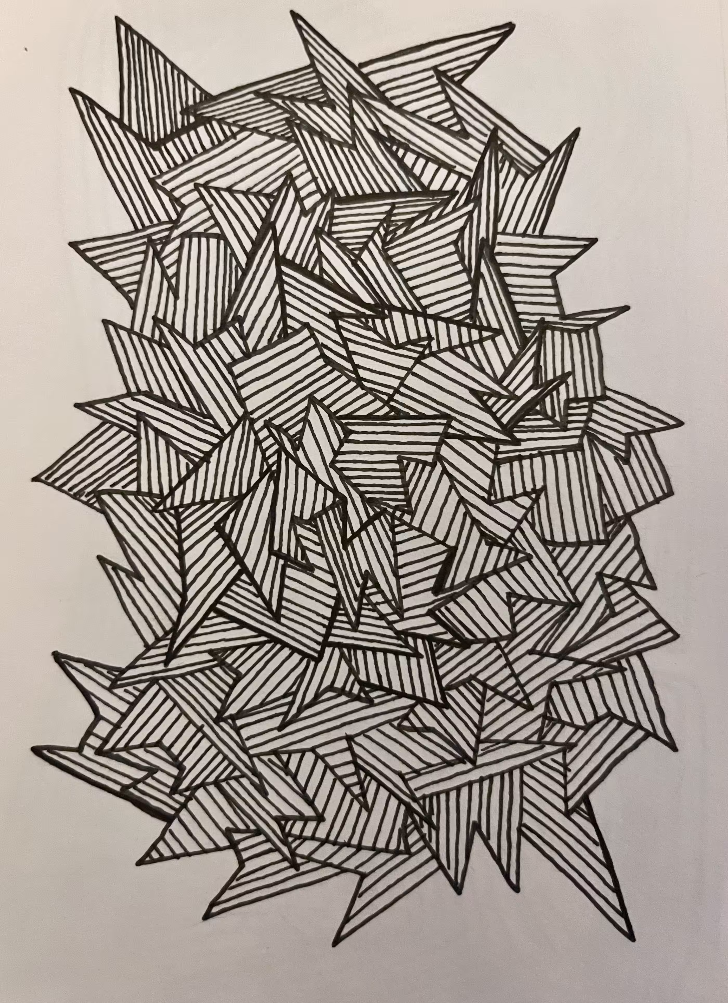 polygon zebras