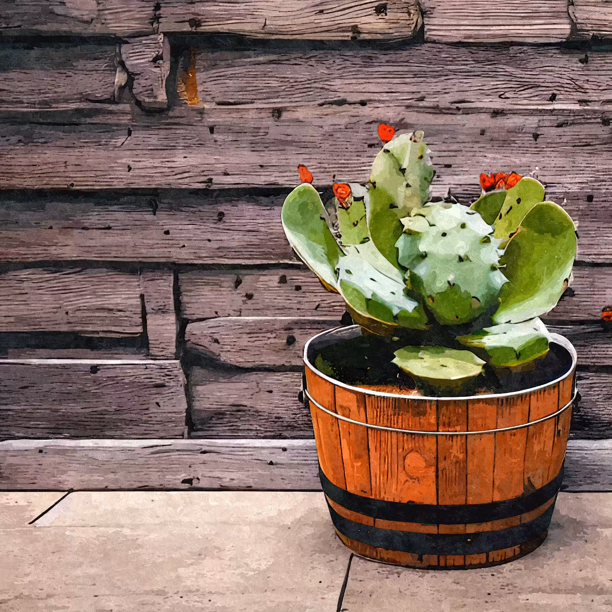 Cactus_pot #5