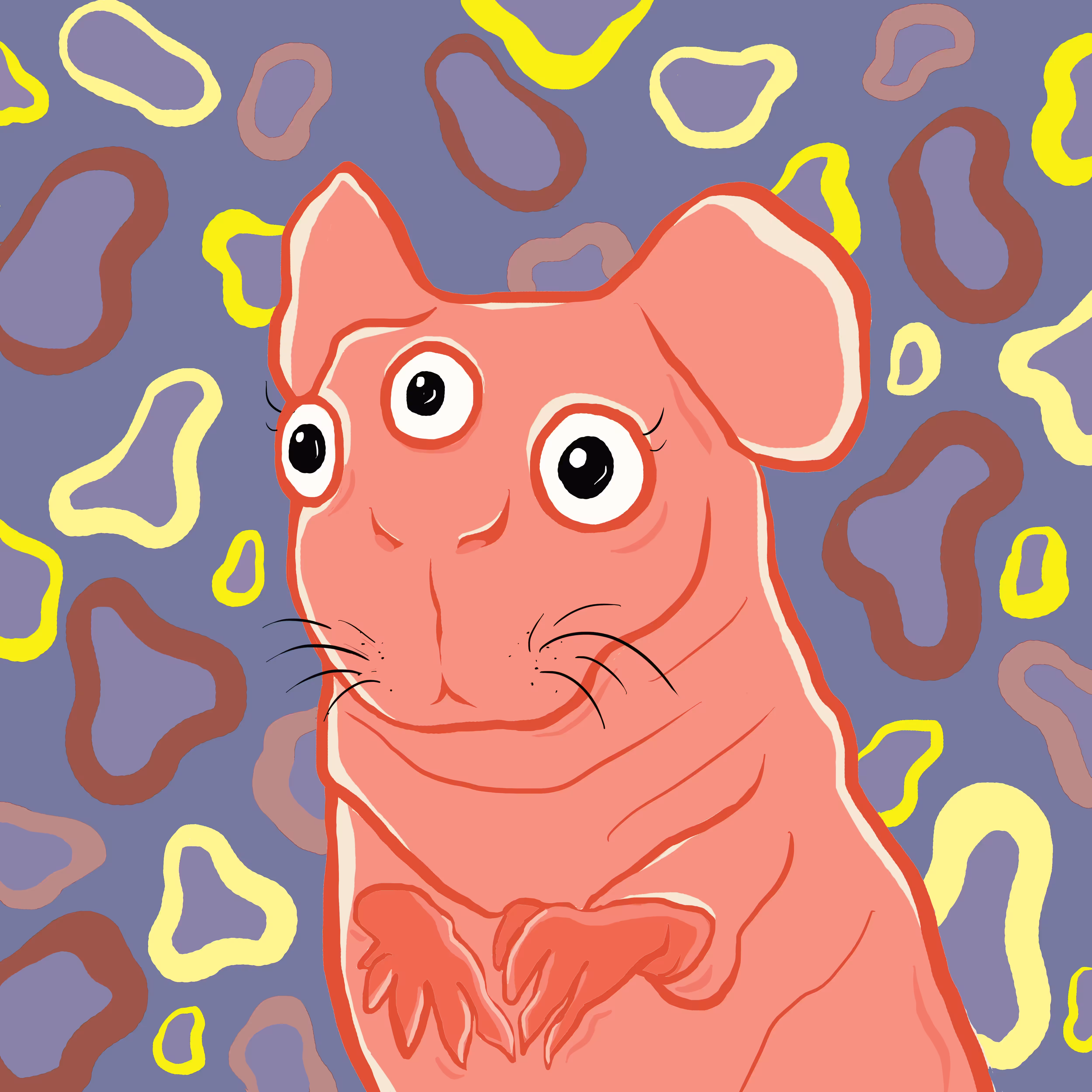 Thomas The Guinea Pig