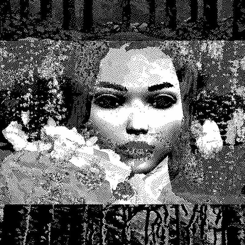 Whipped Dream #63