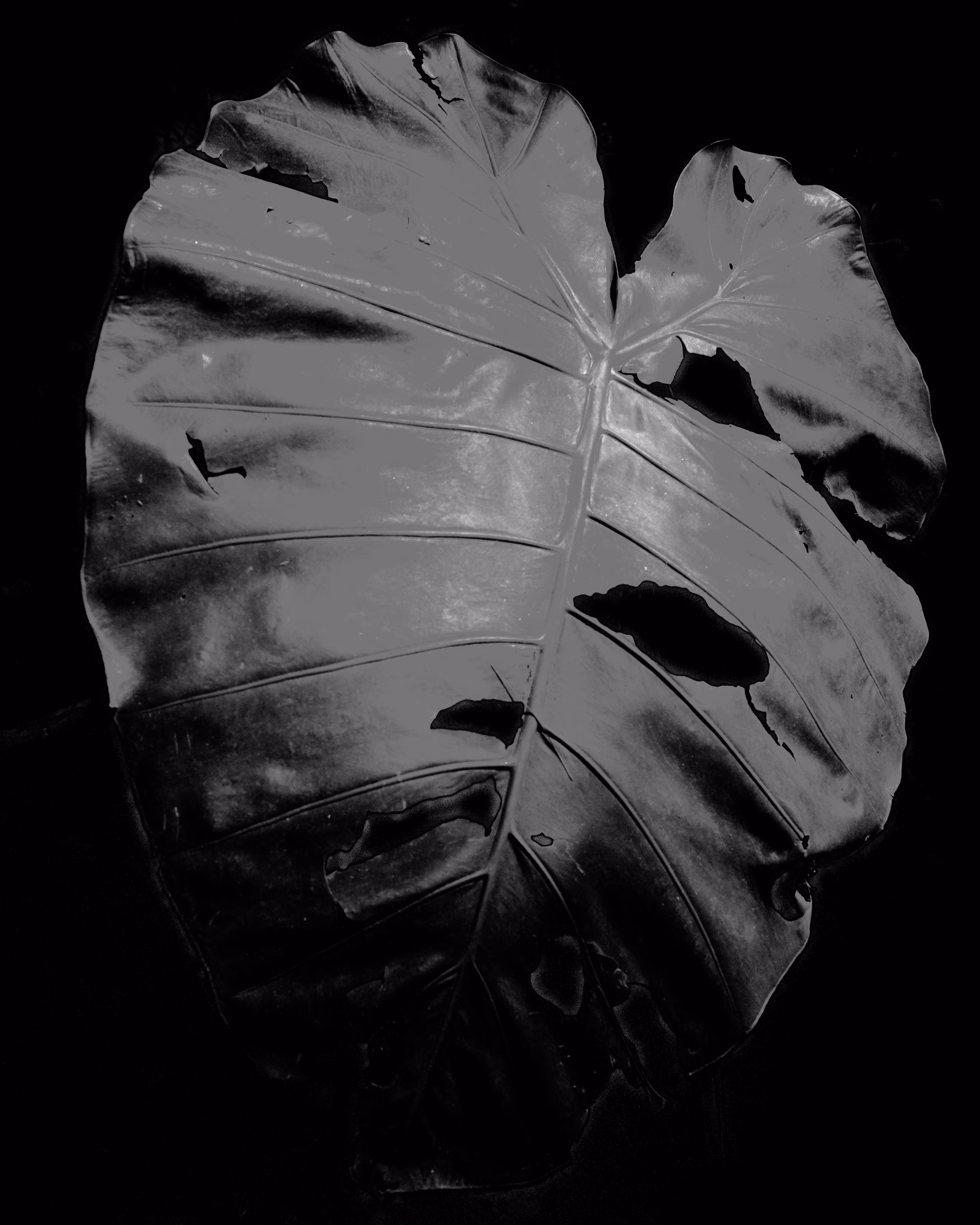Untitled #2