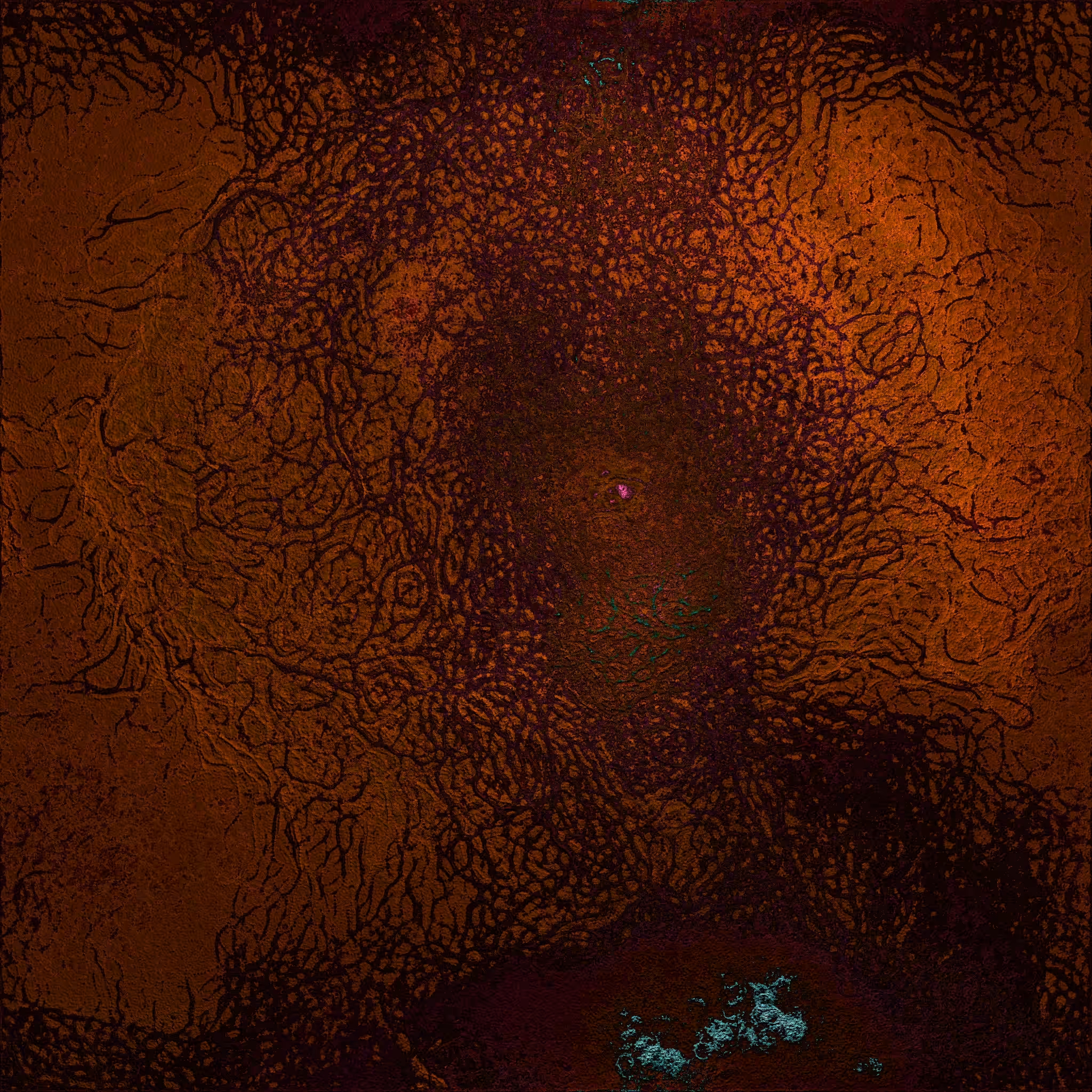 coalescence #176