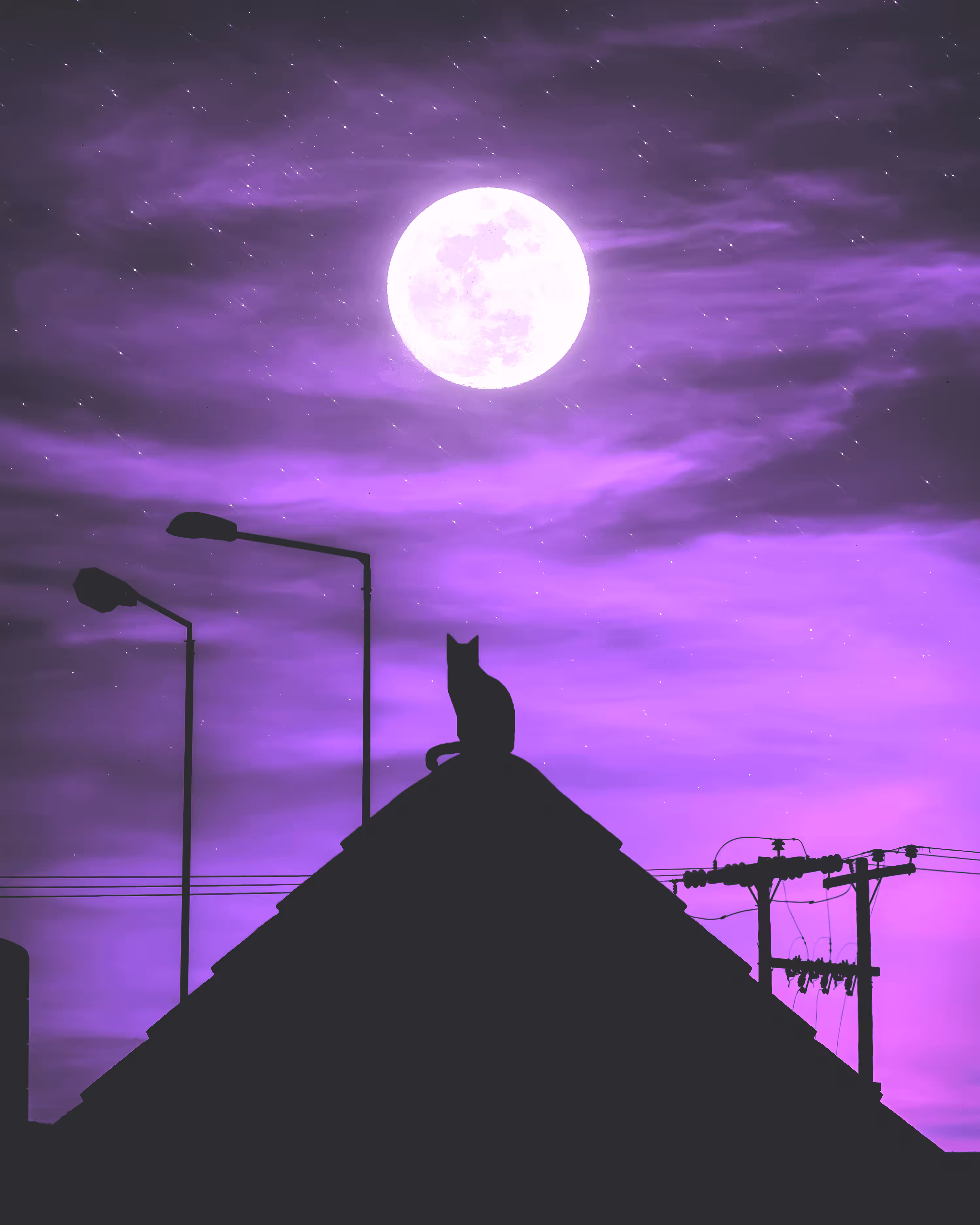 Vaporwave Cat