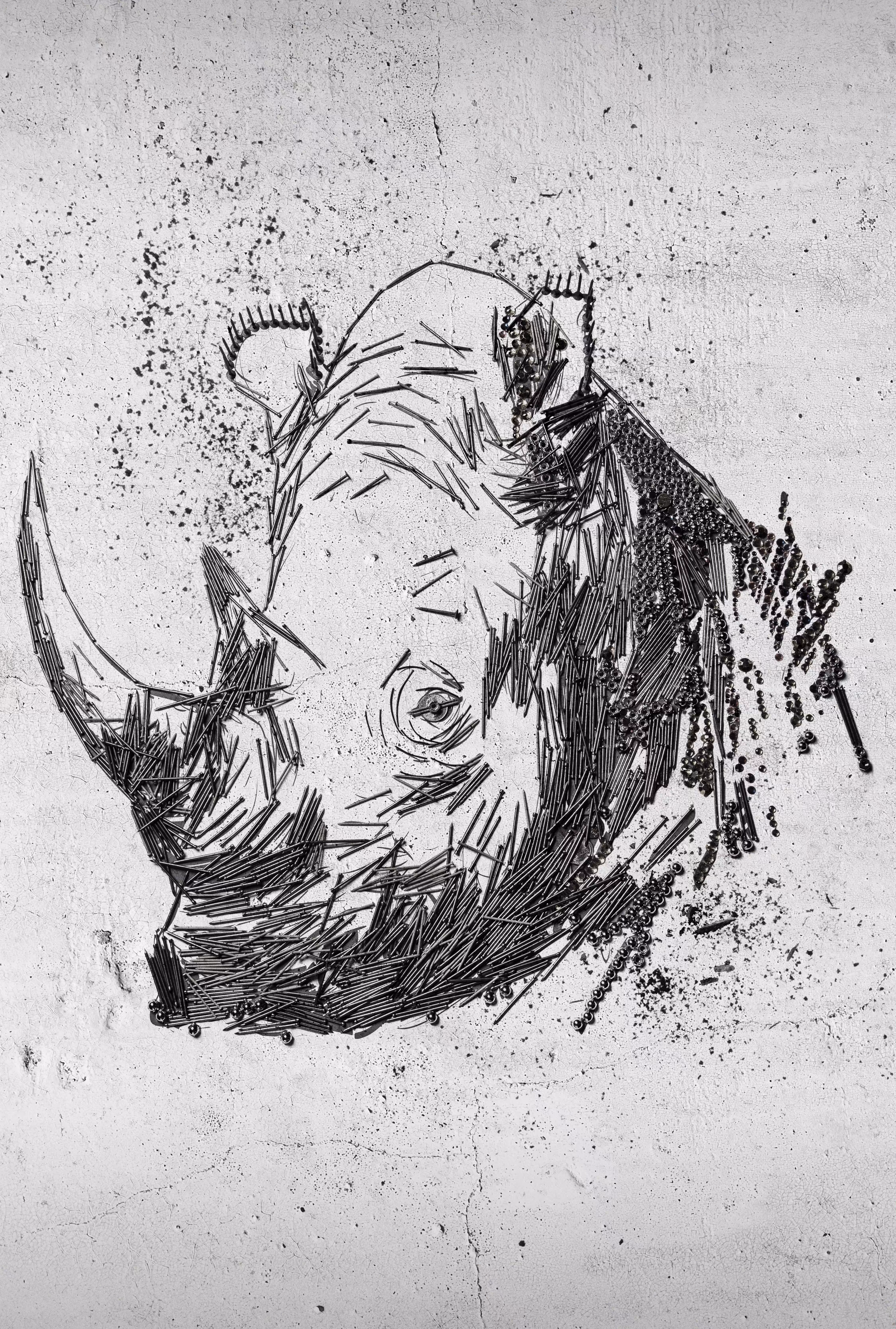 Rhino - Pollution in Nature